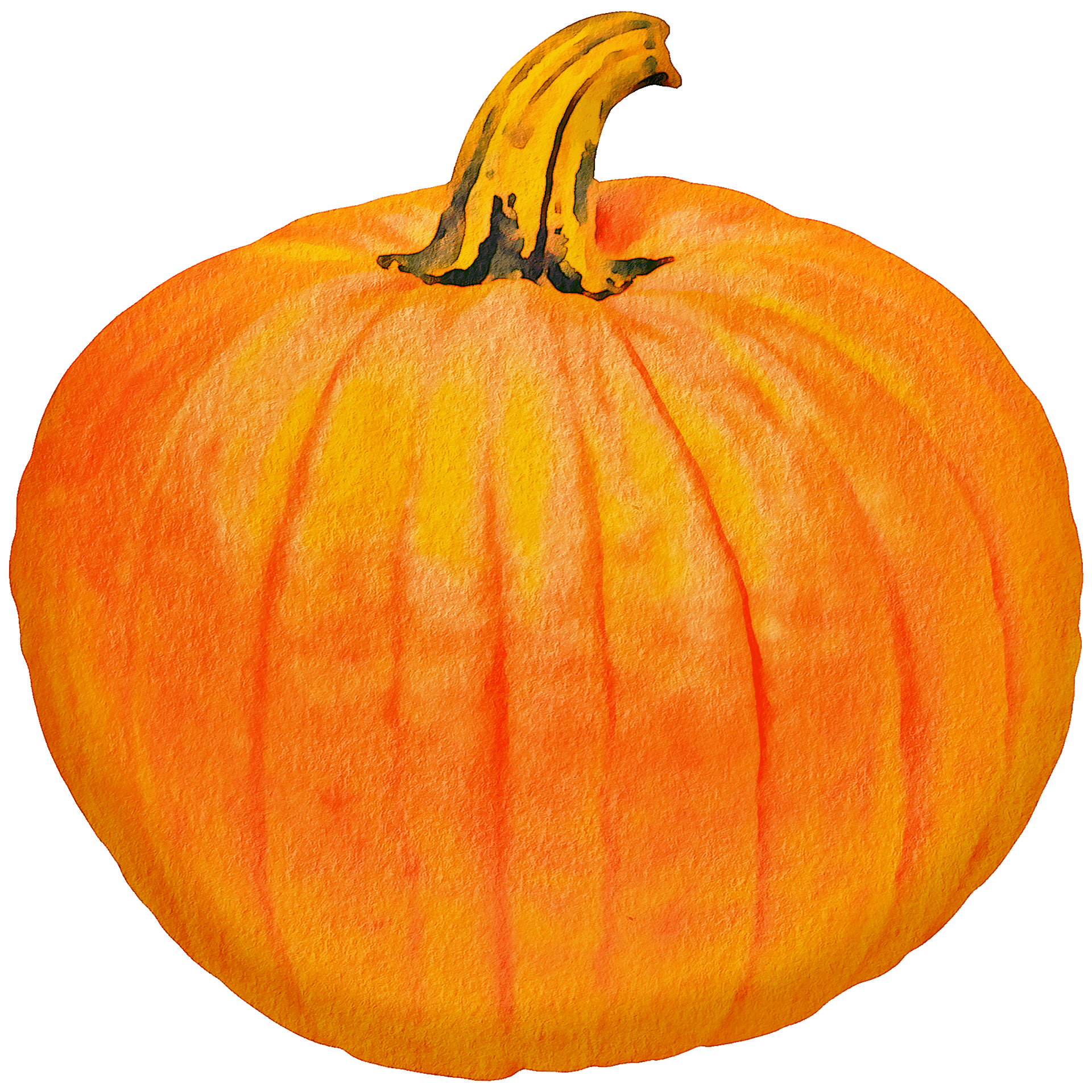 かぼちゃ By宝田章吾 宝田章吾 Note