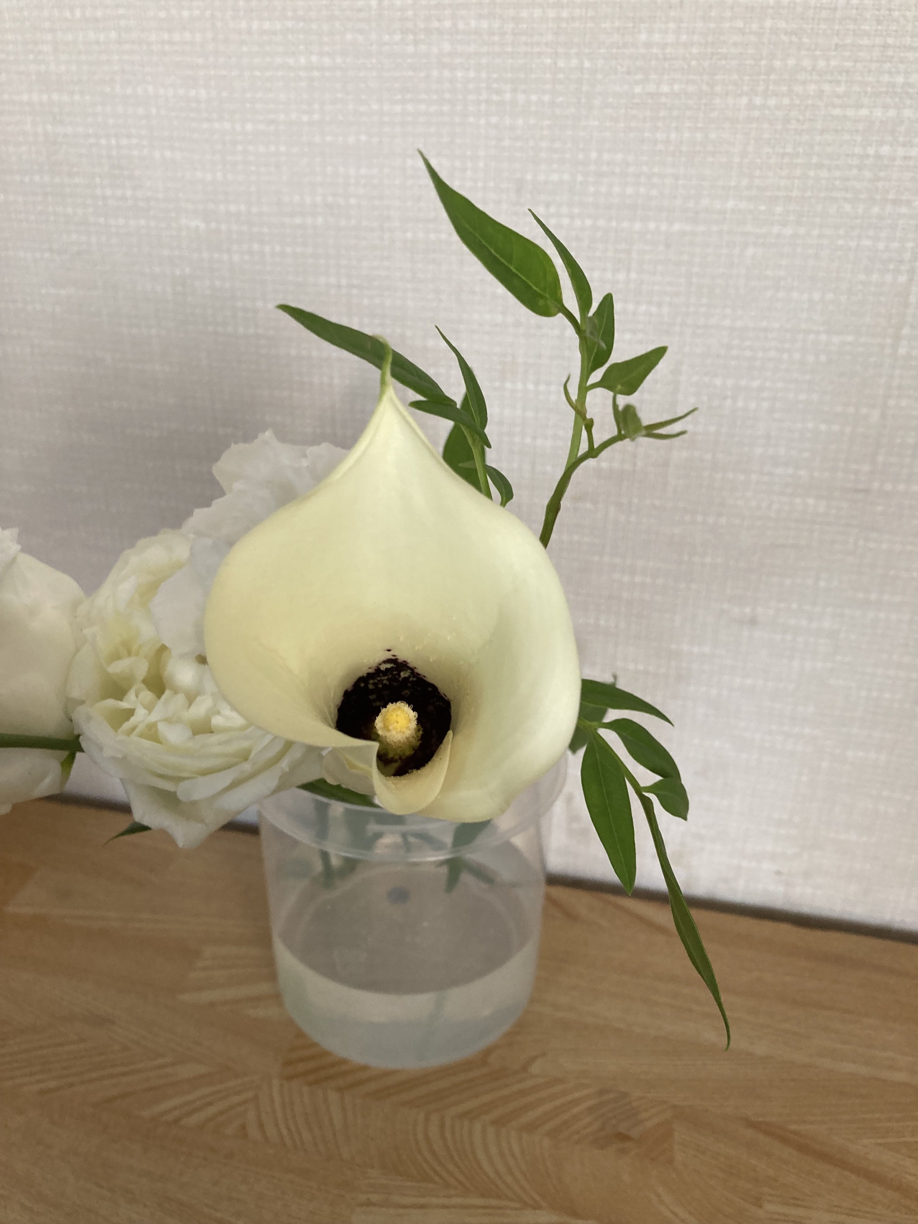 夏の花のデッサン写真集 トルコキキョウほか H Note