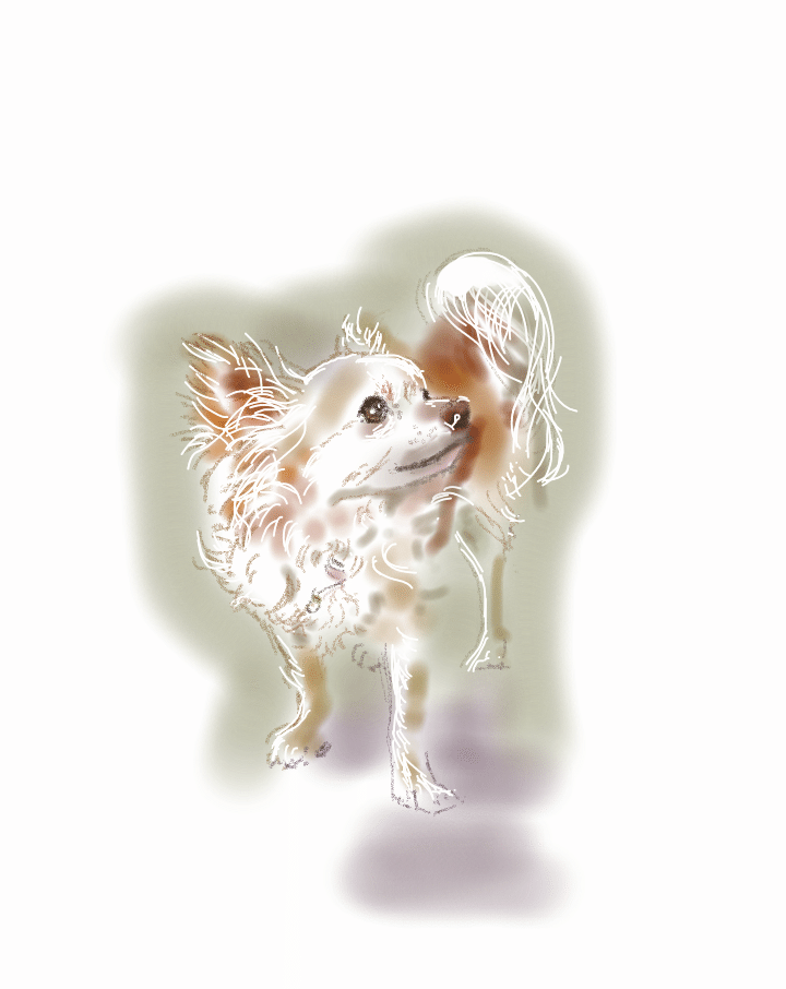 美魔犬さくらの事件簿 ３ やきゅうけんってなに の巻 桑田 華名 Note