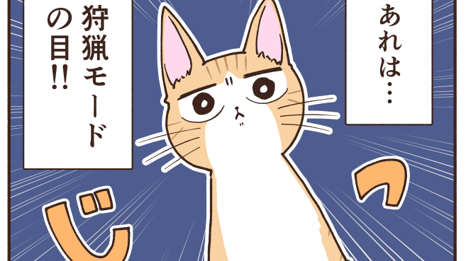 うちの猫の戦闘力が計り知れない 田中ポ子 Note
