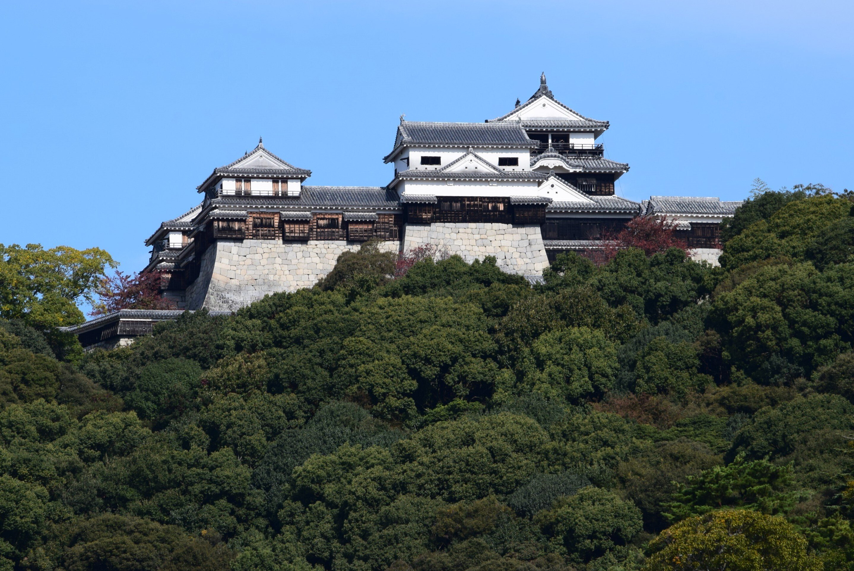 瀬戸内を見下ろす連郭式平山城～松山城【現存12天守】~ Photo
