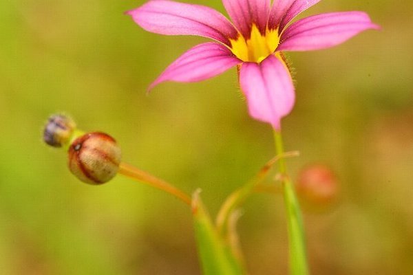 庭石菖 の新着タグ記事一覧 Note つくる つながる とどける 庭石菖 の新着タグ記事一覧 Note つくる つながる とどける