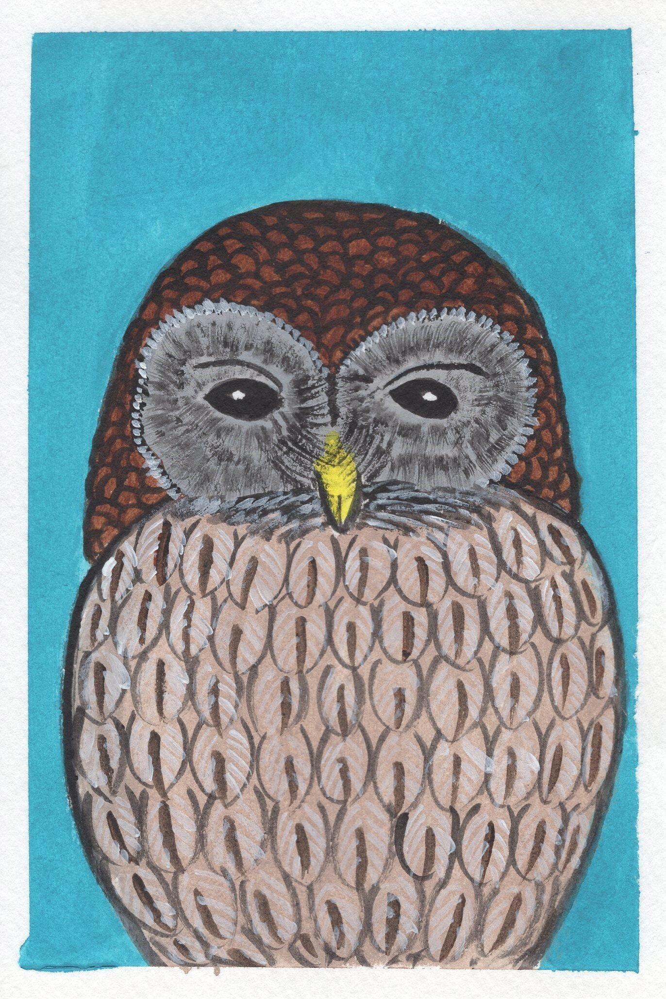 フクロウのイラスト Sui Note