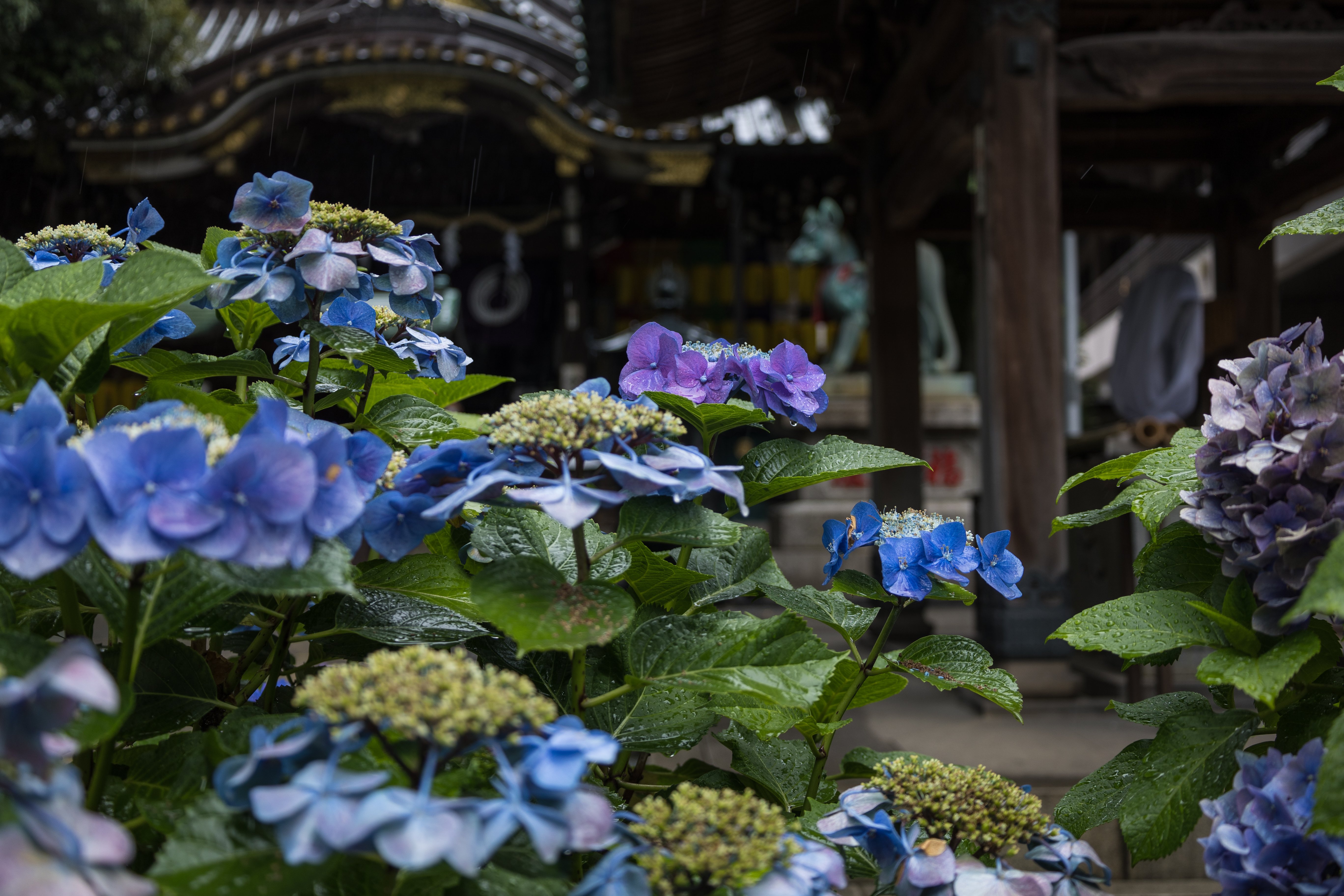 天からの贈り物 The Gift From The Sky Masae Photo Note 天からの贈り物 The Gift From The Sky Masae Photo Note