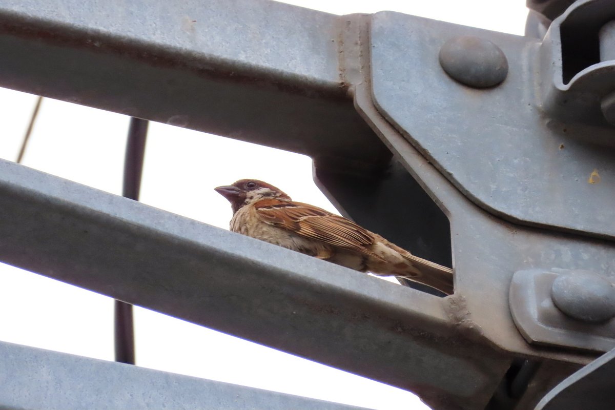 カタパルト」の人気タグ記事一覧｜note ――つくる、つながる、とどける。