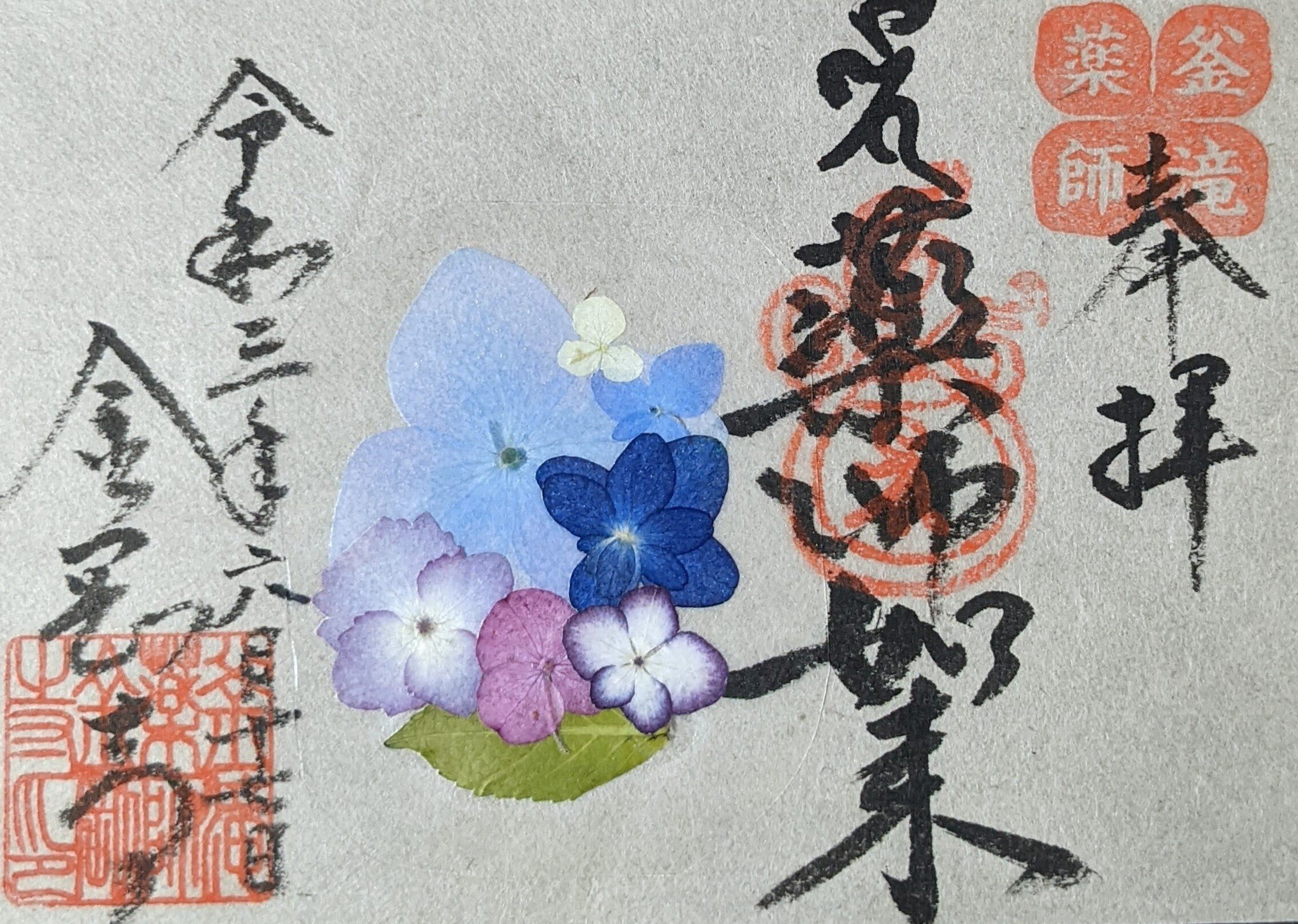 紫陽花の釜滝薬師金剛寺【和歌山】｜flow Essence 美年～mitoshi～