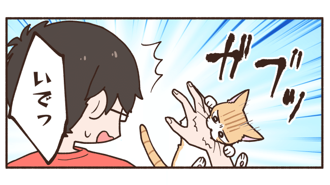 猫の成長を感じた彼氏の一言が謎 田中ポ子 Note