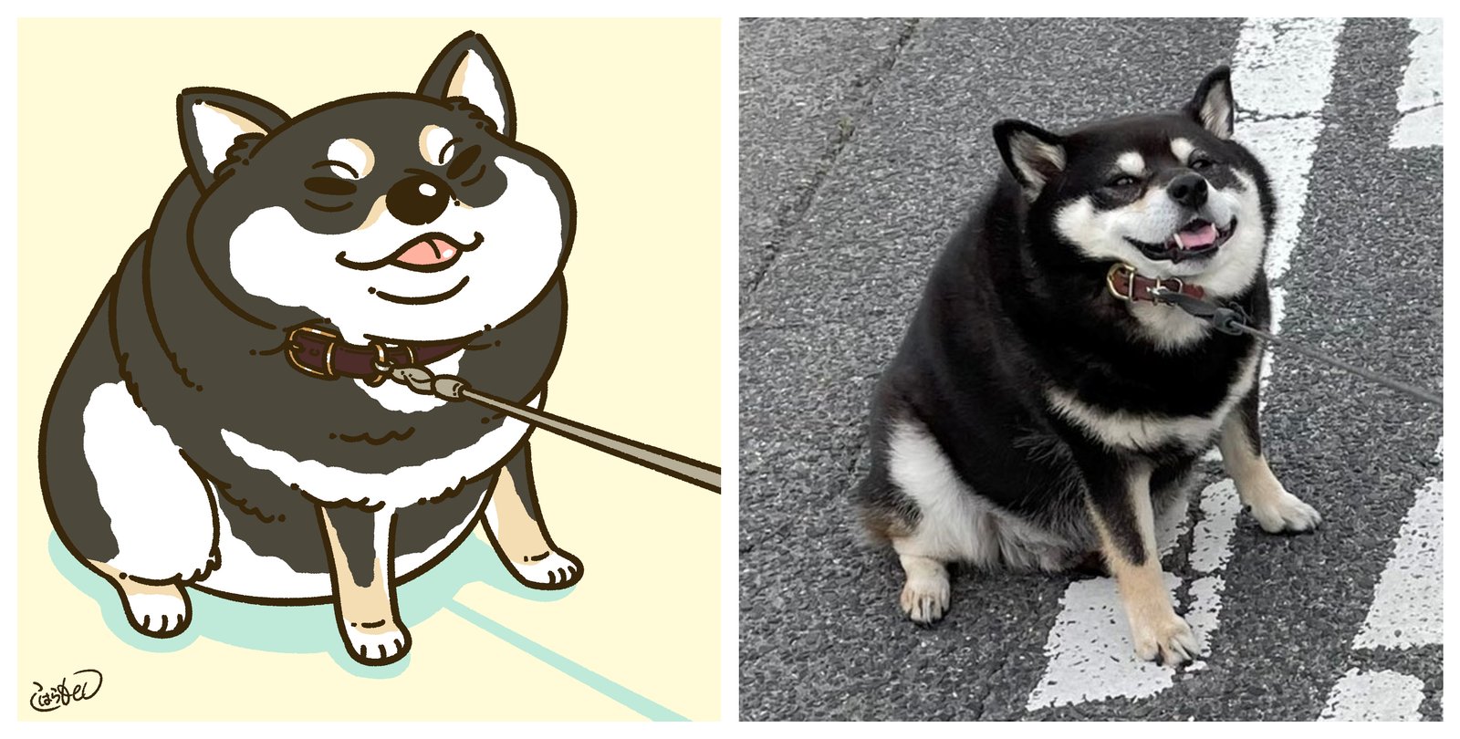 キャラクター化動物イラスト まとめ コハラモトシ Note