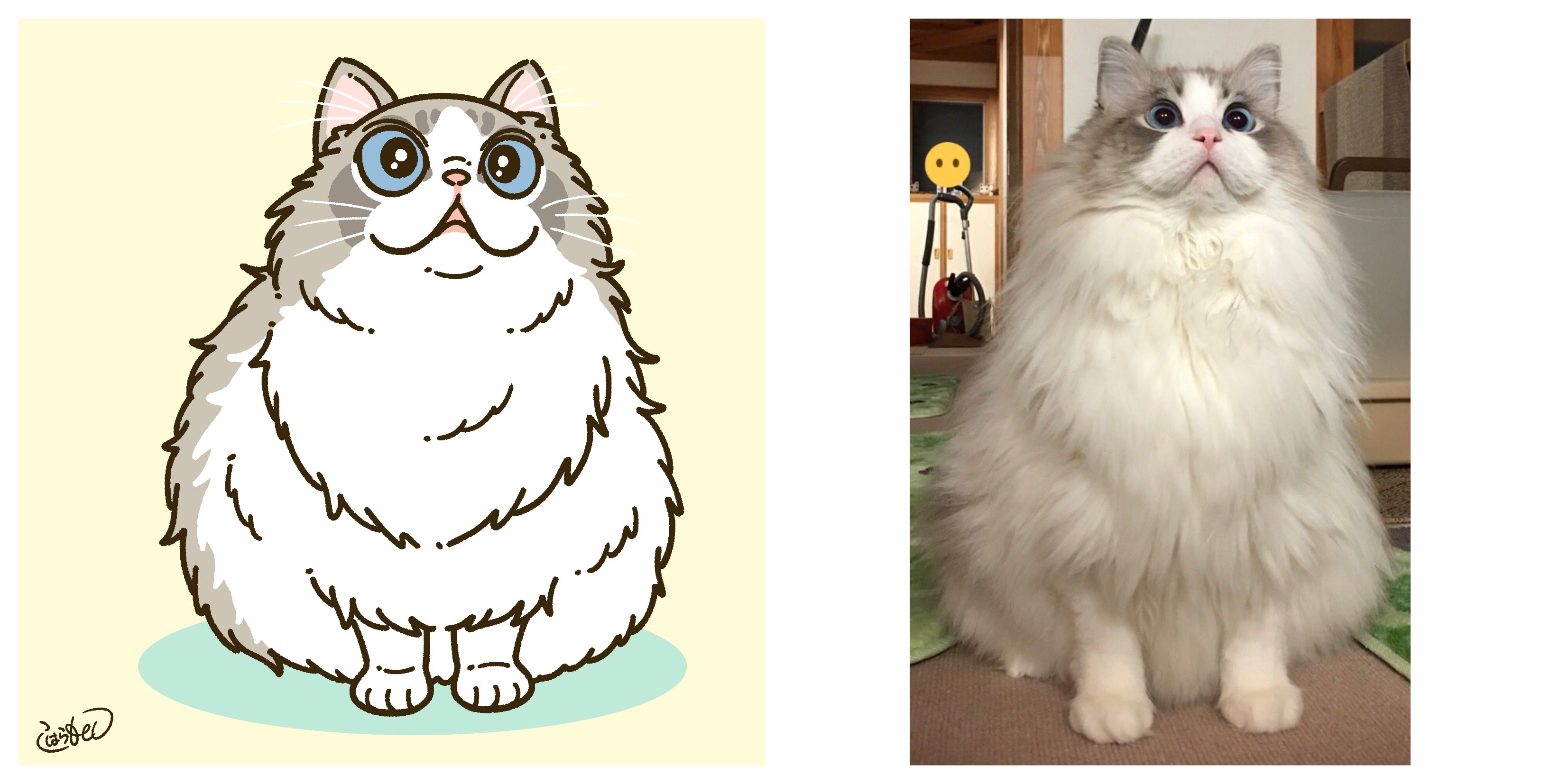 キャラクター化動物イラスト まとめ コハラモトシ Note キャラクター化動物イラスト まとめ コハラモトシ Note