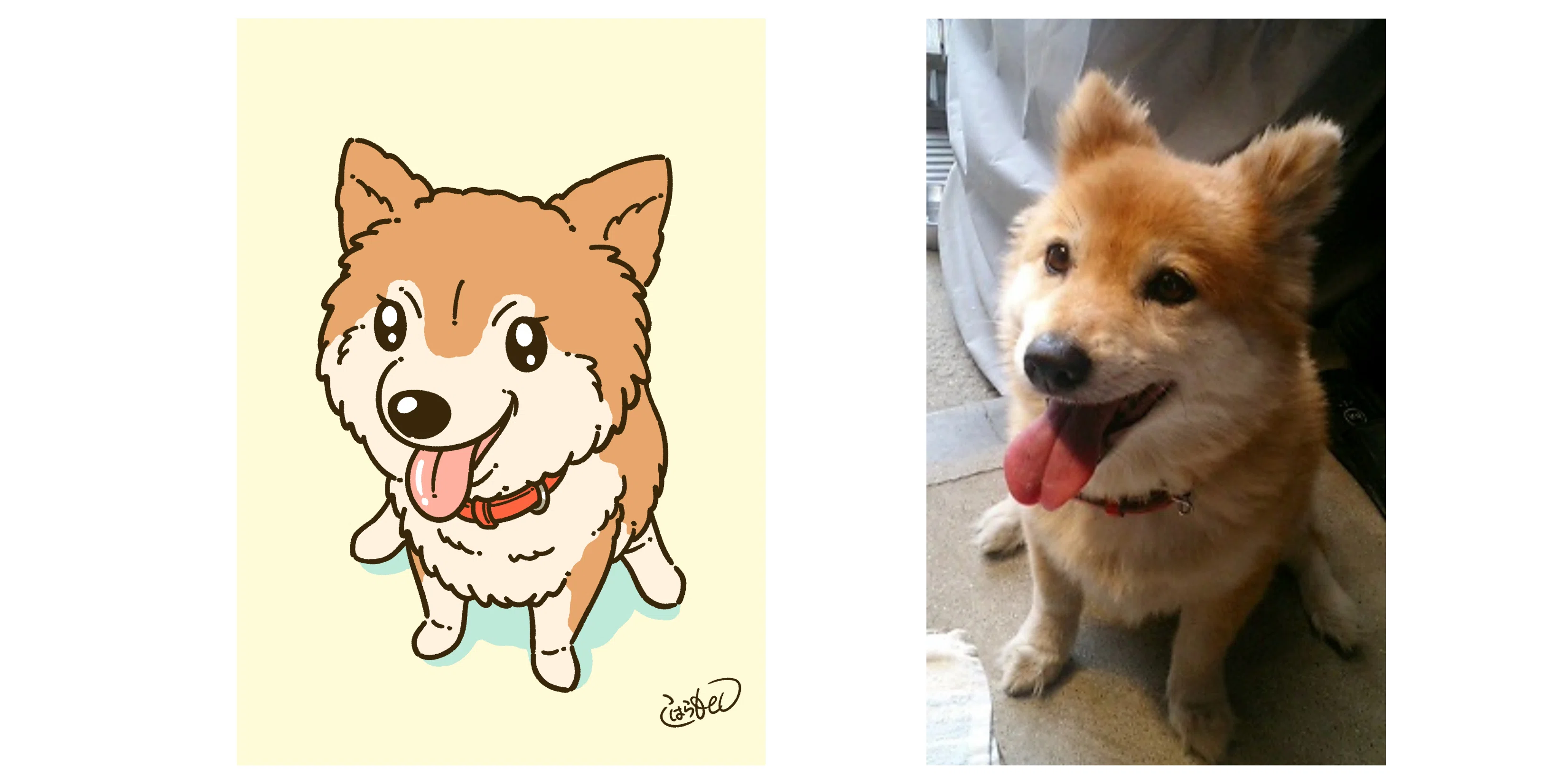 キャラクター化動物イラスト まとめ コハラモトシ Note