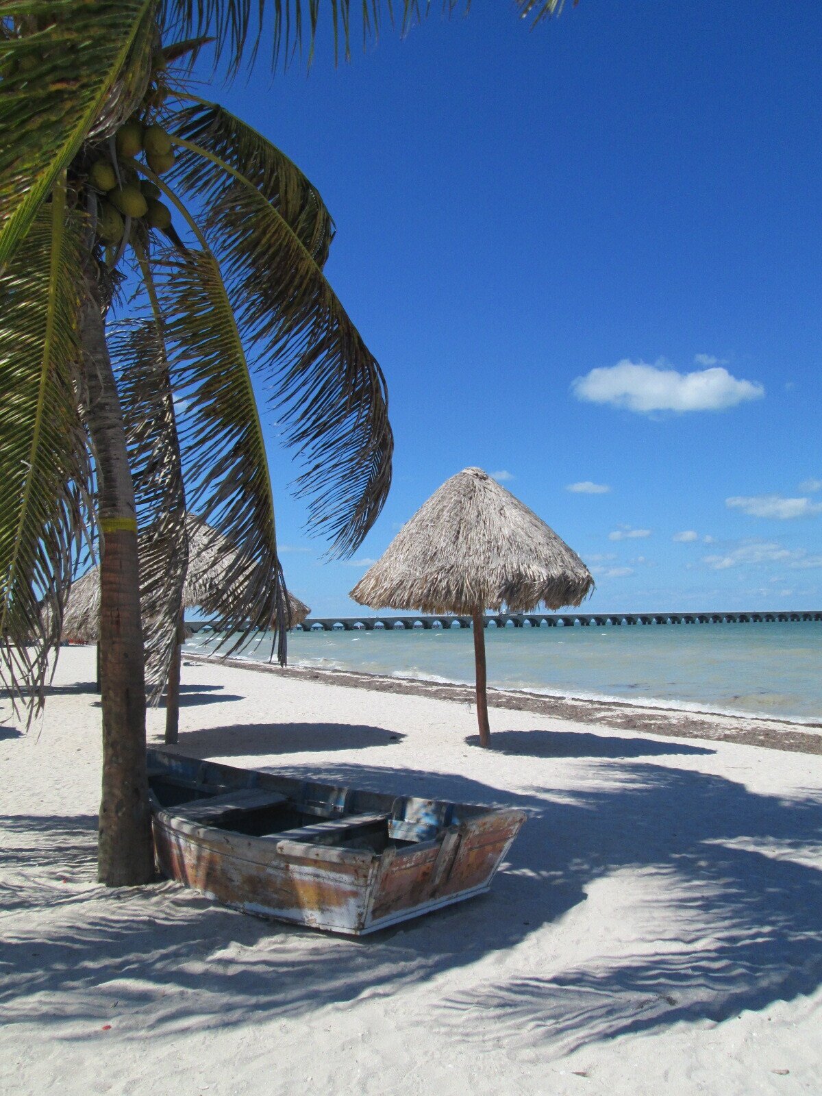 ユカタン半島 今日の一枚 メキシコ、ユカタン半島。夏の終わりに訪れた町中から半