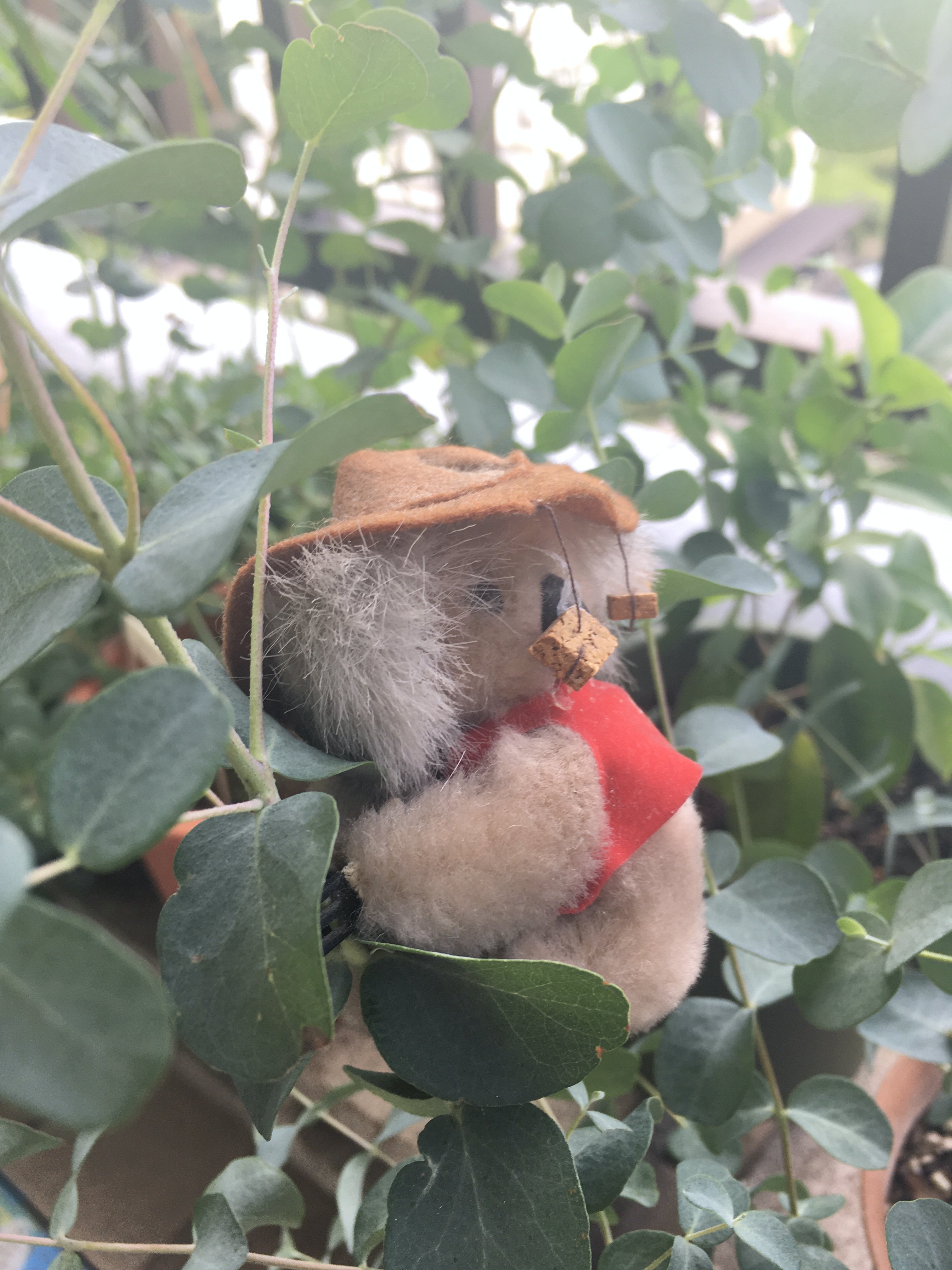 ベランダの楽しみ キョンヌ Studio Ulalaka Note