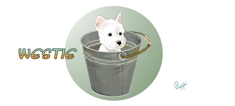 ウェスティ（West Highland White Terrier）