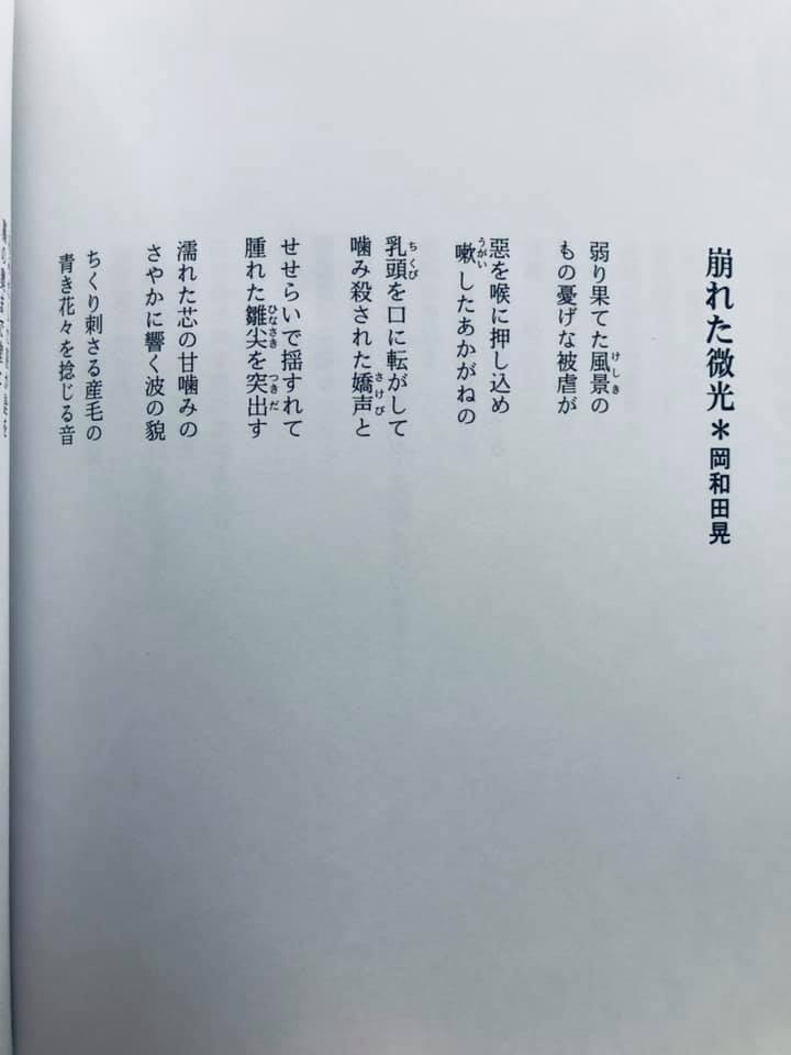 形而上詩「崩れた微光」（「白亜紀」160号）｜岡和田晃
