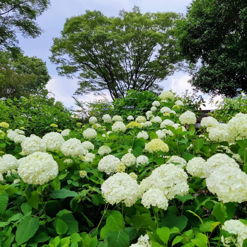 いつもフル回転している思考をとめて、身の回りにあるいいものをみつけてみよう