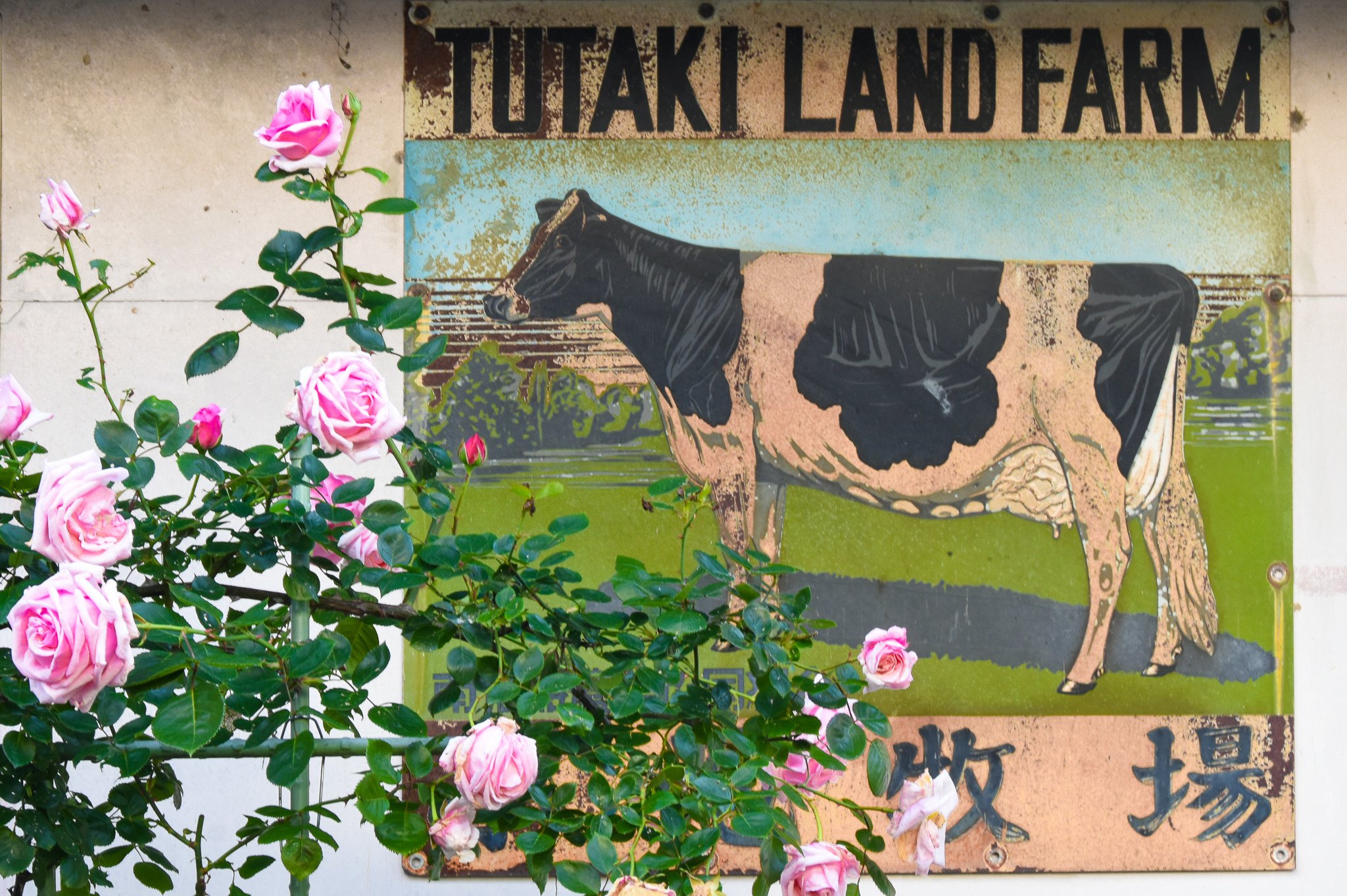 Designscape 27 或る牧場の看板 長野県富士見町 旧甲州街道 くにみち Note