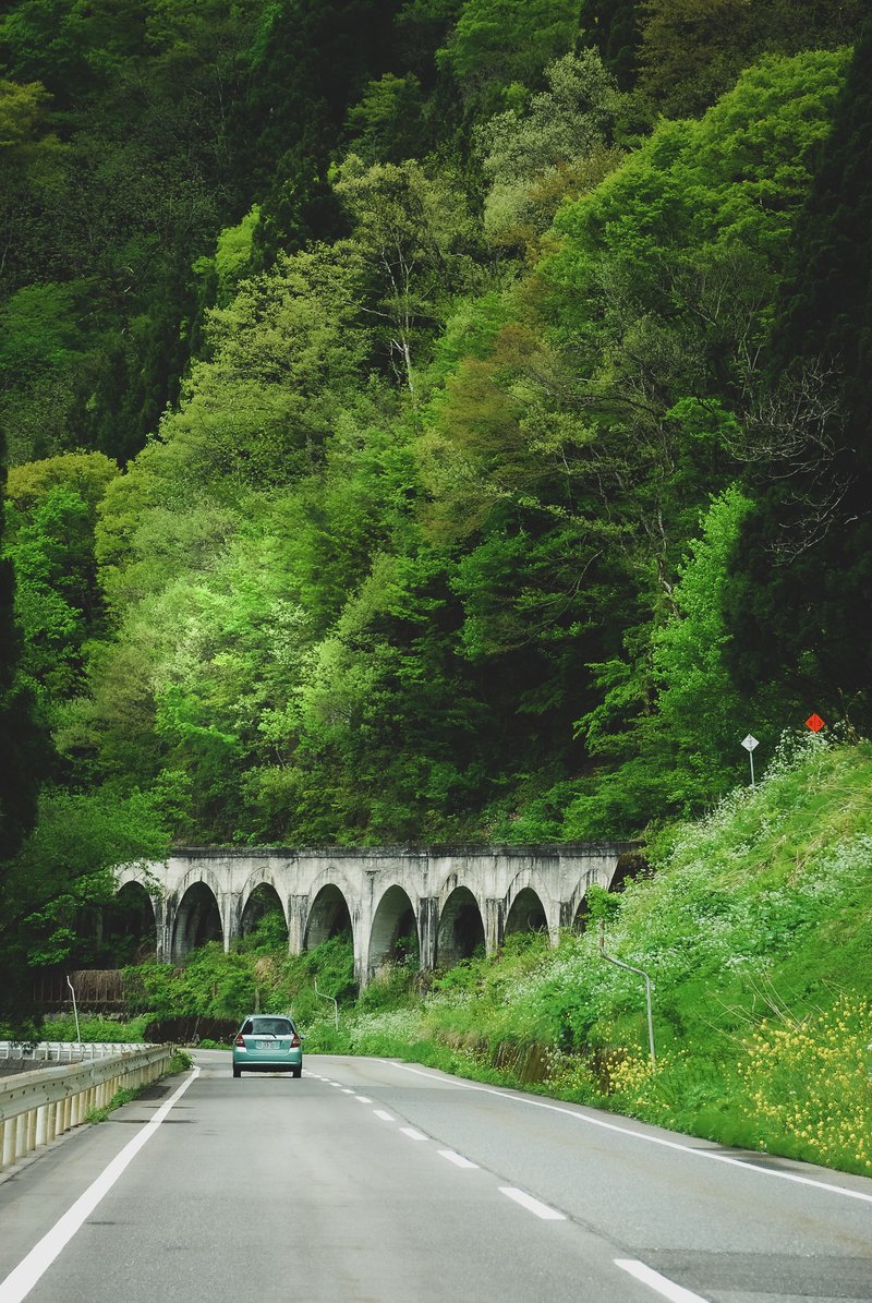 JR只見線の細越拱橋(通称：めがね橋)という8連コンクリートアーチ橋が美しい．国道から見えるアーチ橋としては廃線になった信越線の碓氷第三橋梁も素敵ながら，JR只見線はまだ現役．キハ四〇の姿を待ちわびつつ諦めました．次回こそは列車を待ちたいと思います．