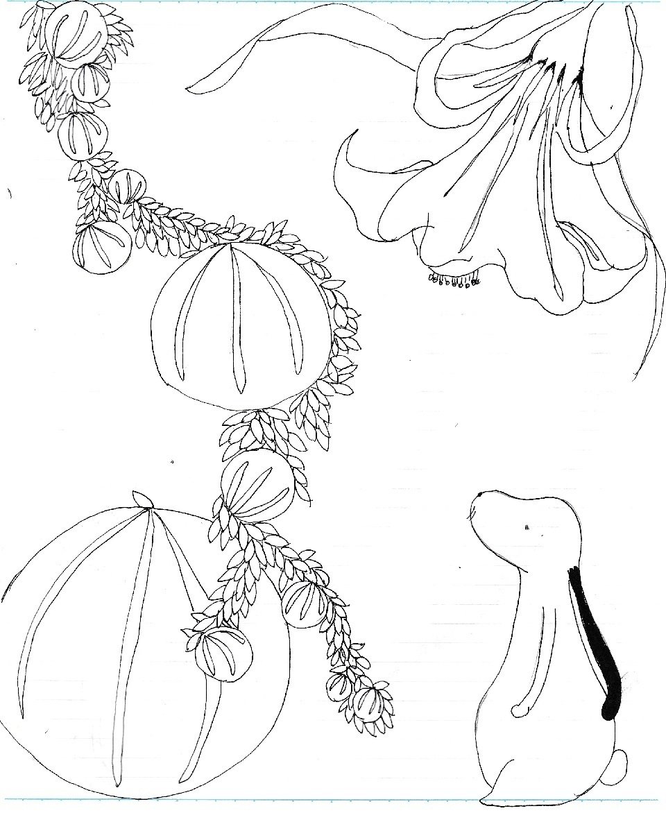 連なる実 イラスト 犬のしっぽヤモリの手 Note