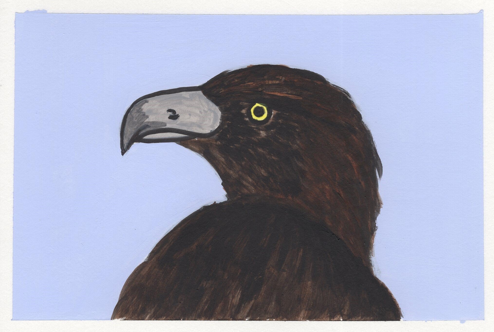 鳥のイラスト Sui Note