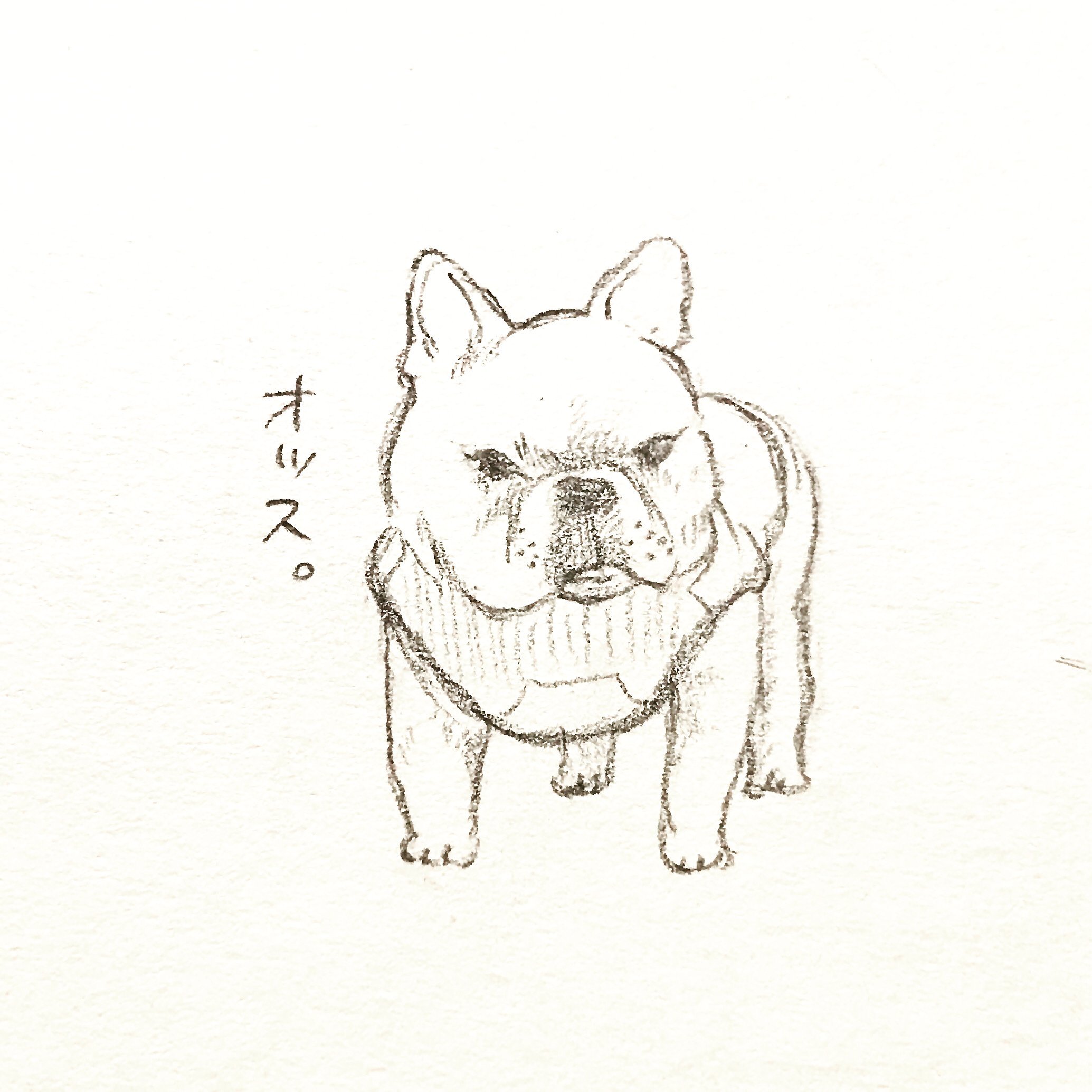 始まりのわんこ Atelier Chihiro Note