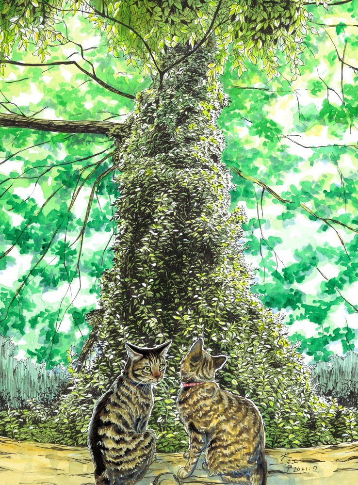 今月の猫絵です。幹が全部草で覆われた木が印象的だったので。蔦じゃなかったですが、何の草なんでしょうね。鷺ノ宮のカフェMUSAさん（　https://www.cafemusa.com/　）で絵を展示していただいてます。ペン+透明水彩、猫はアクリルガッシュ。