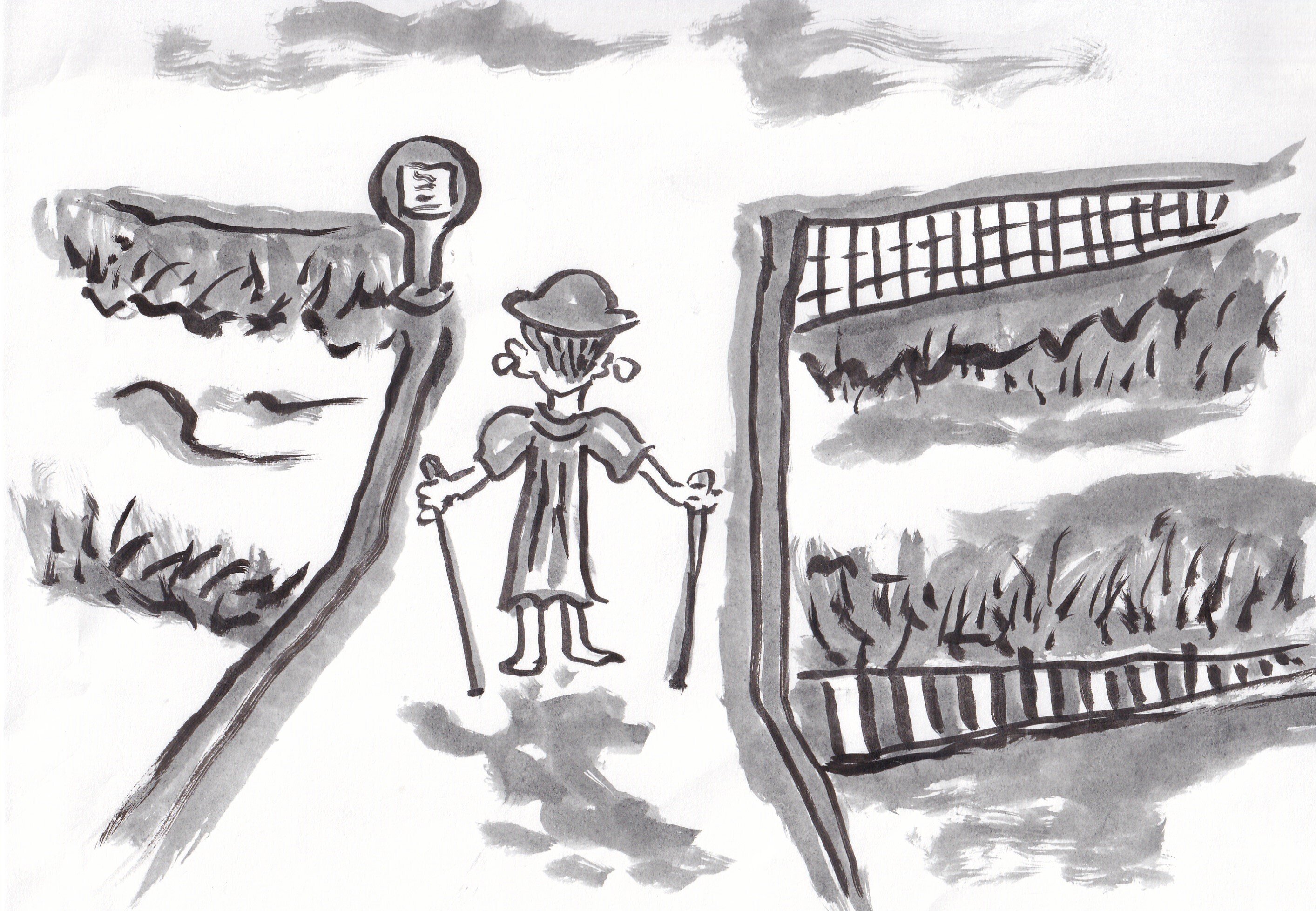 涼しさやバス停までの朝散歩 山田幸子フリーアナウンサー Note