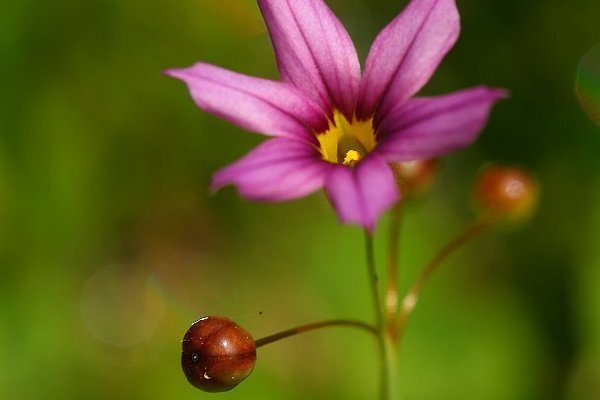 庭石菖 の新着タグ記事一覧 Note つくる つながる とどける 庭石菖 の新着タグ記事一覧 Note つくる つながる とどける
