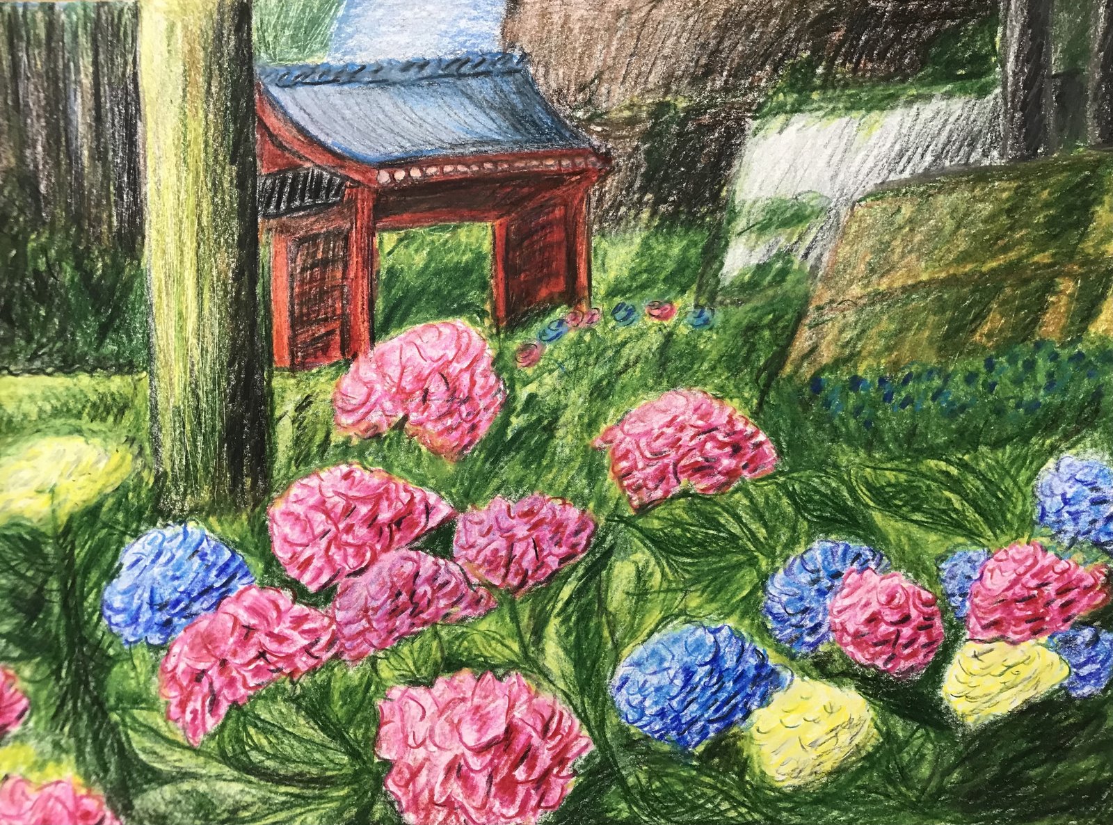色鉛筆画 紫陽花のある風景 サーム Note