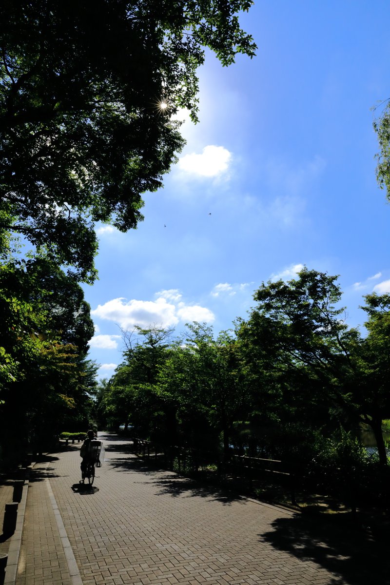 どんな立派な建物でも、人が住まない家はすぐに荒れ果ててしまうそうですよ。 あなたの心にきちんと人が住んでいますか。  　　　　　　　　蘭越町のK先生  ー鈴木章子 著『癌告知のあとで　なんでもないことが、こんなにうれしい』（探究社）よりー  