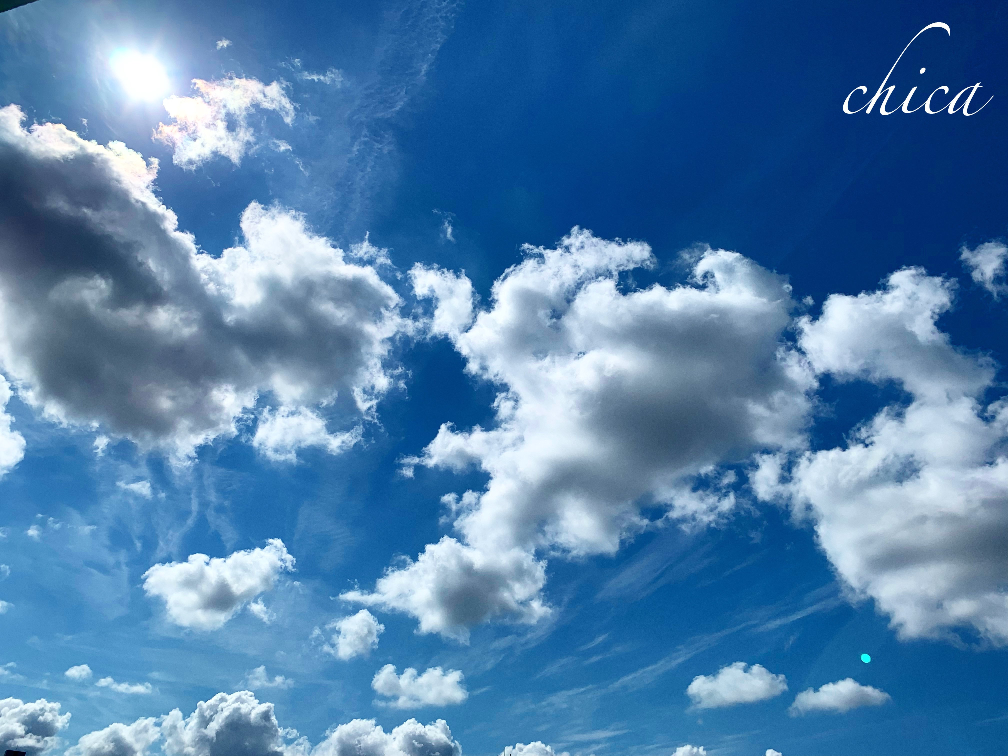 本日も夏空 チカ Note 本日も夏空 チカ Note