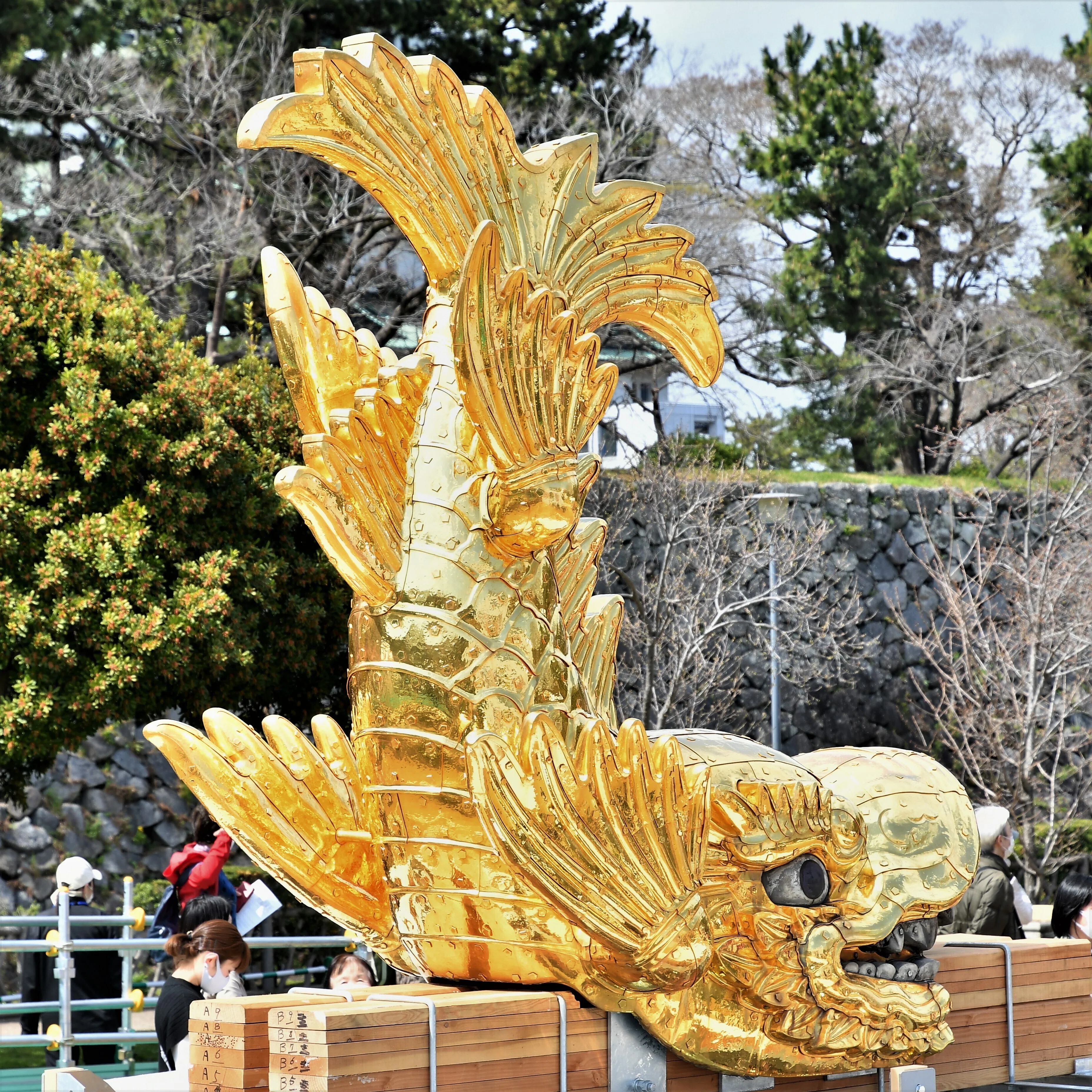名古屋城金鯱展のために地上に降りていた金鯱が仕事を終えて天守閣に戻り設置を待っています。|okazin86|note