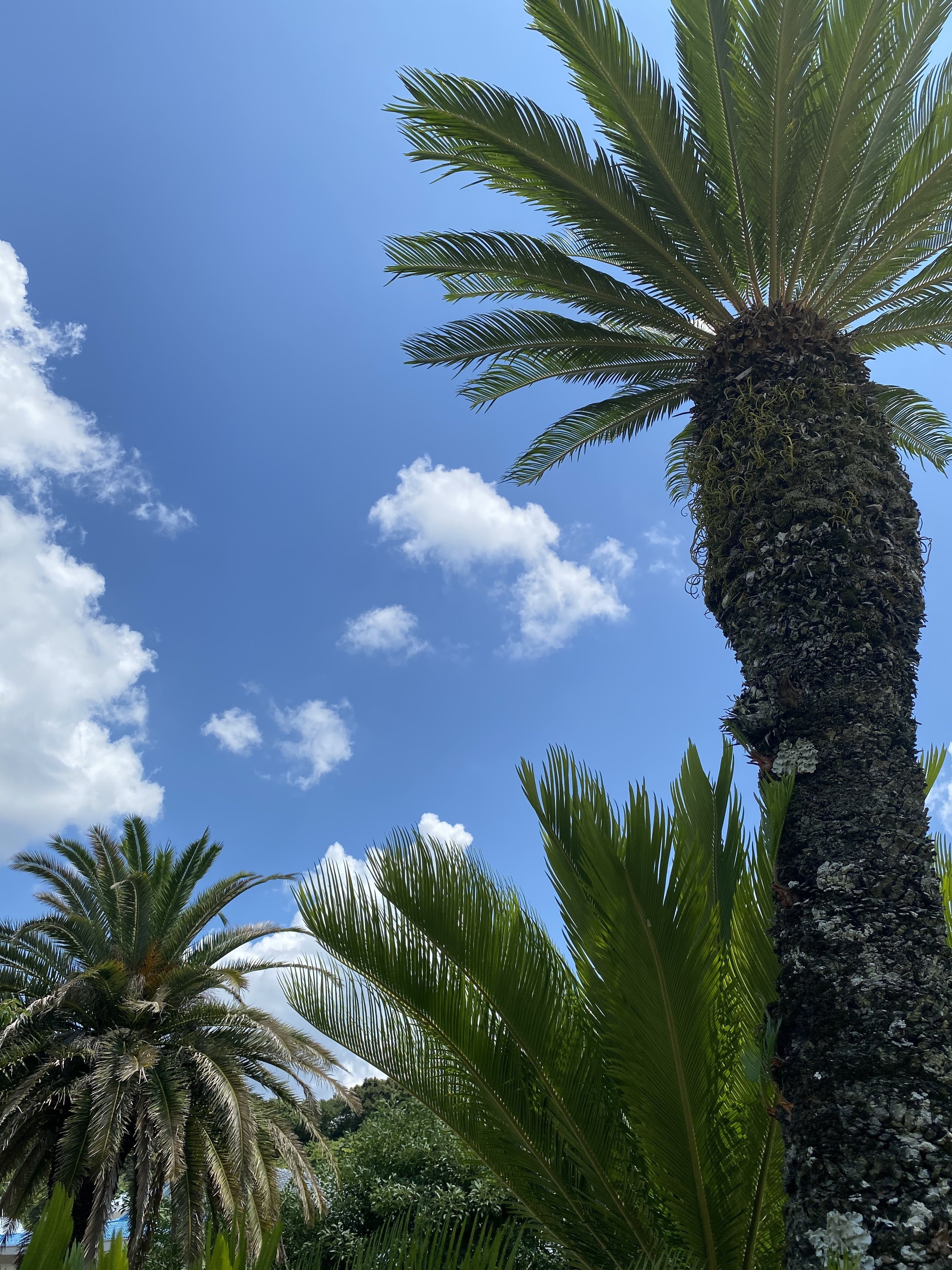 楽しい週末でした Cheech Note