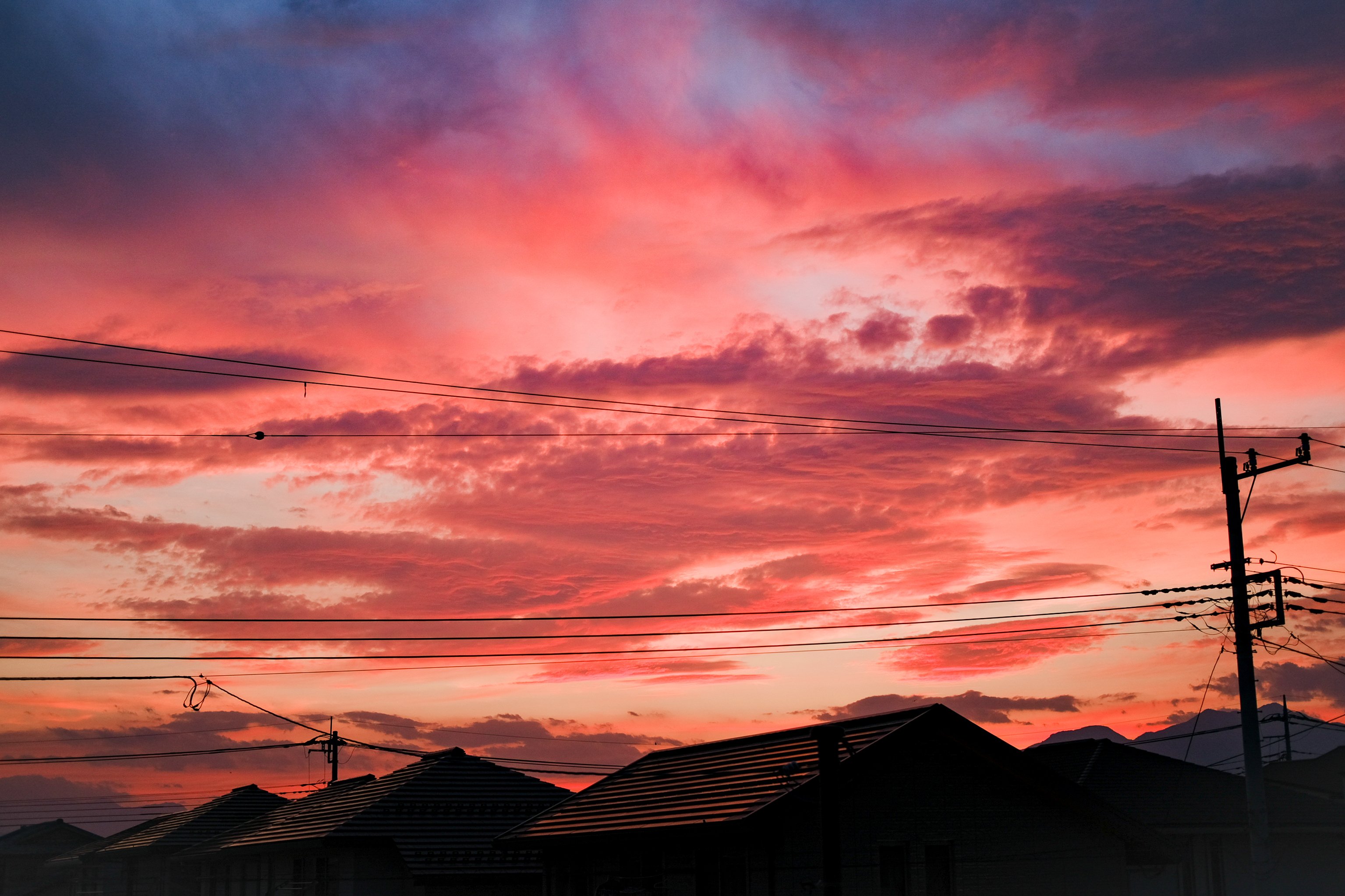 夕雲 X-S10 35/2｜tiger3