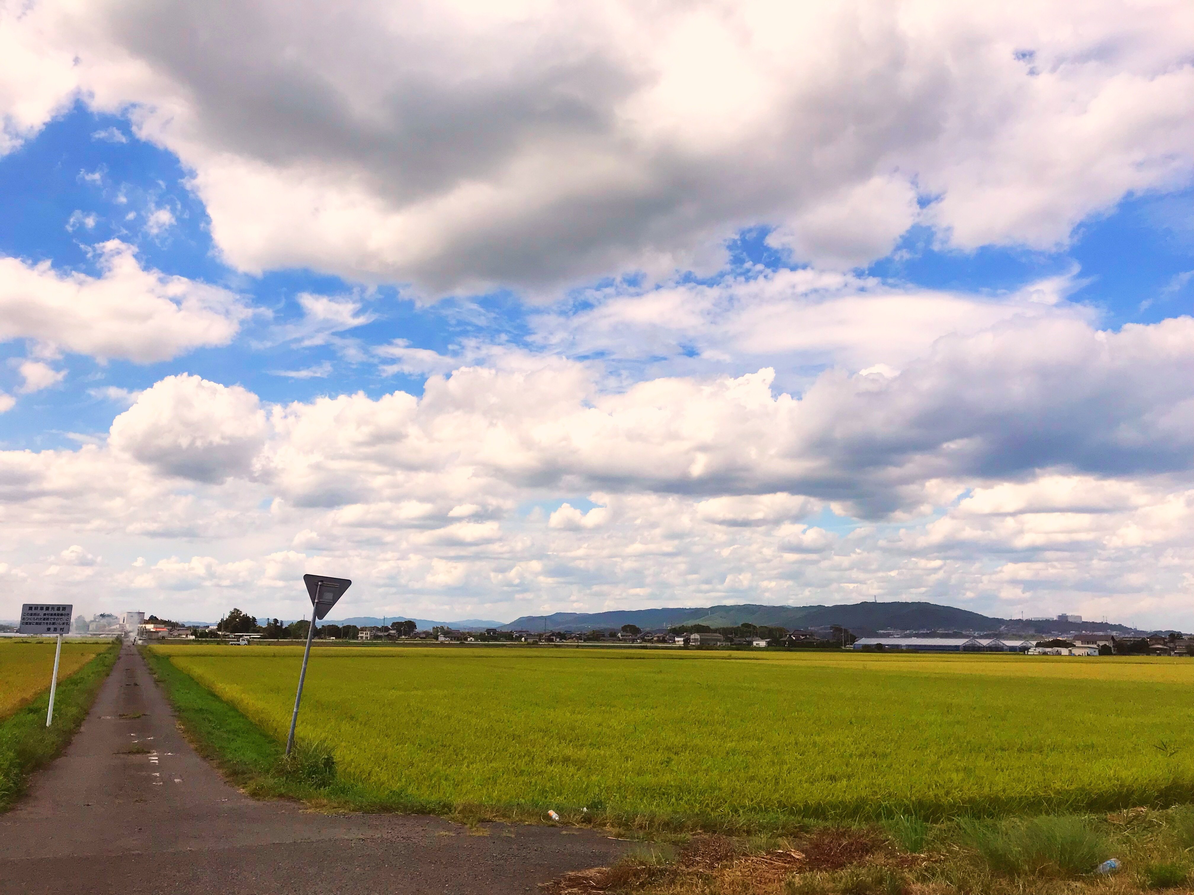 夏景色 大西恵子 機能改善士 Note