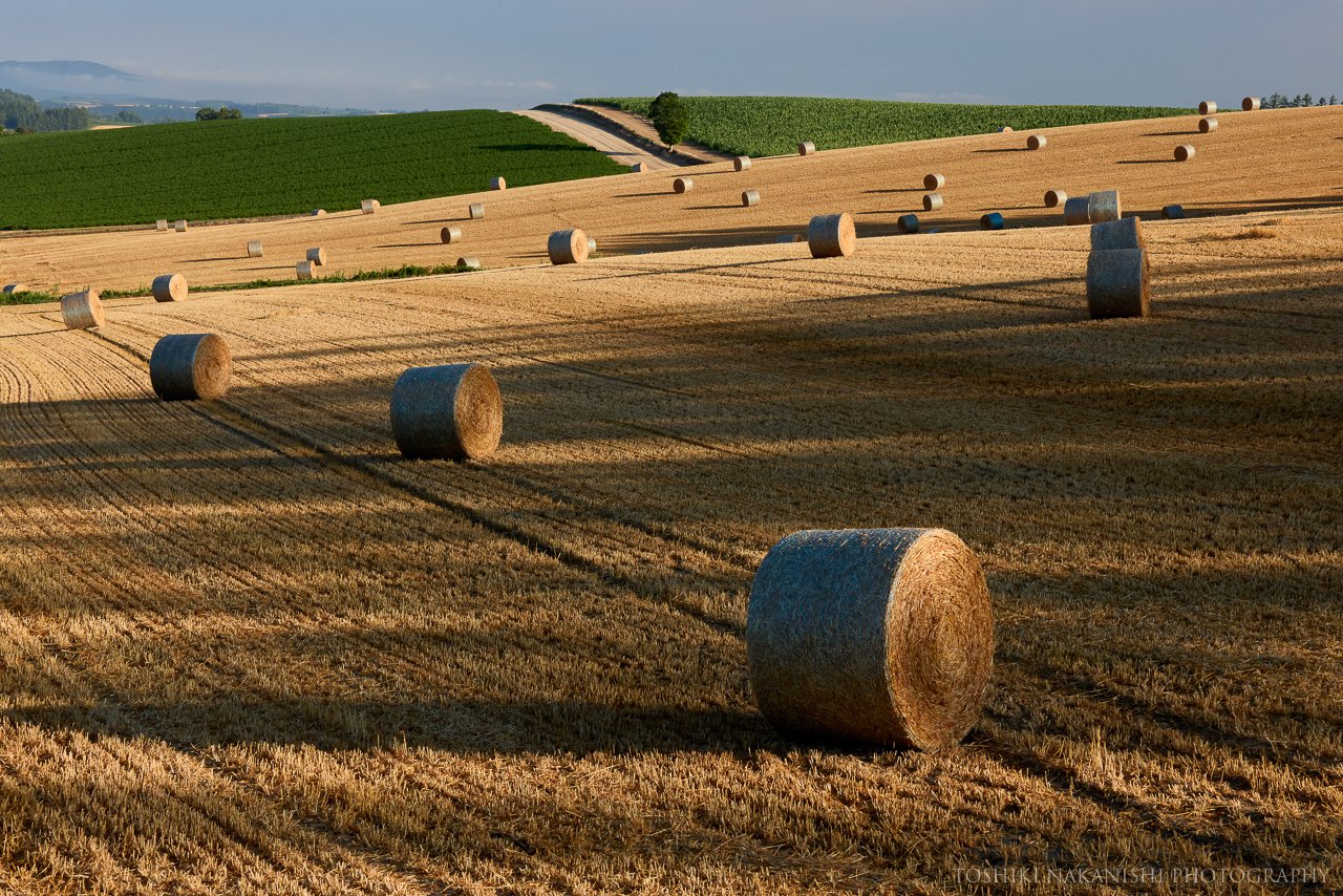 麦稈ロールの広がる丘 中西敏貴 Note