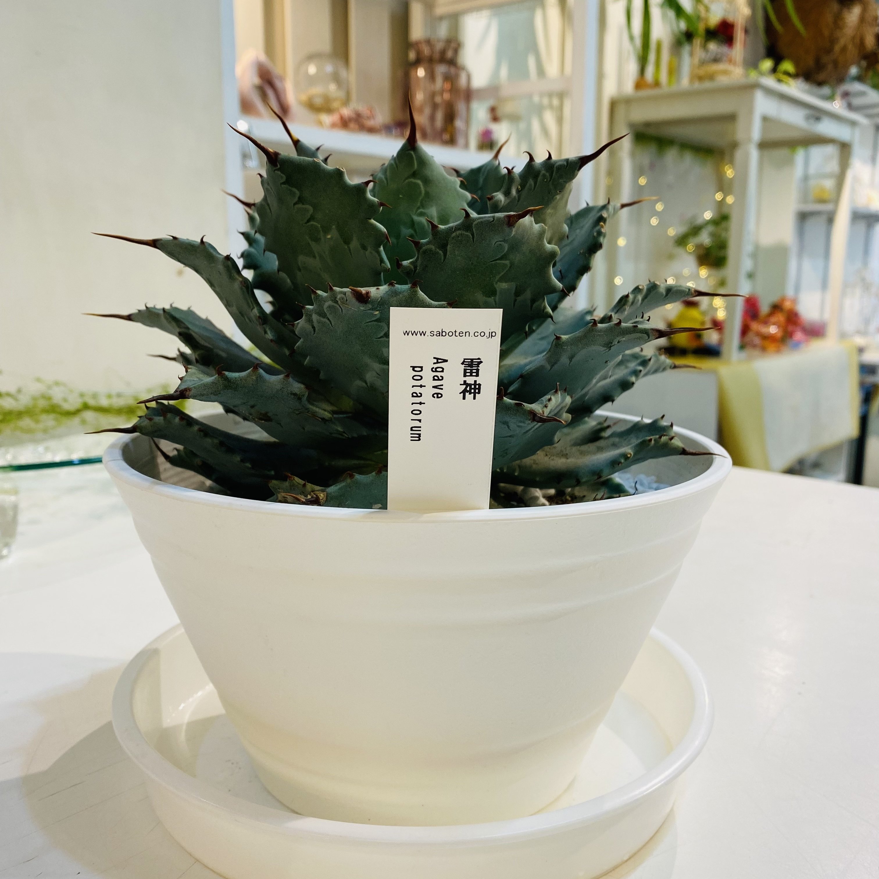 エネル の新着タグ記事一覧 Note つくる つながる とどける