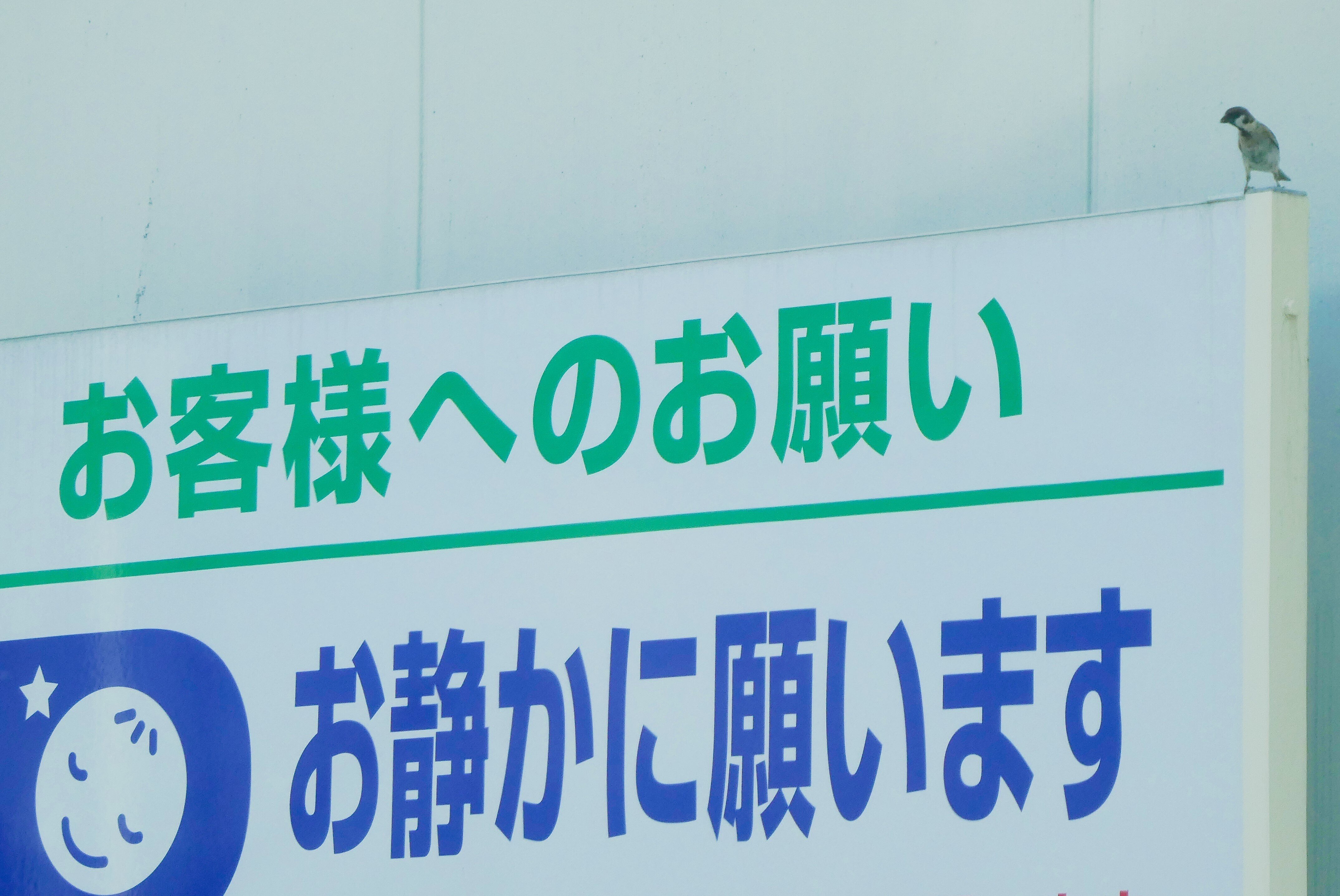 ここはとても静かだチュン Reboot Note ここはとても静かだチュン Reboot Note