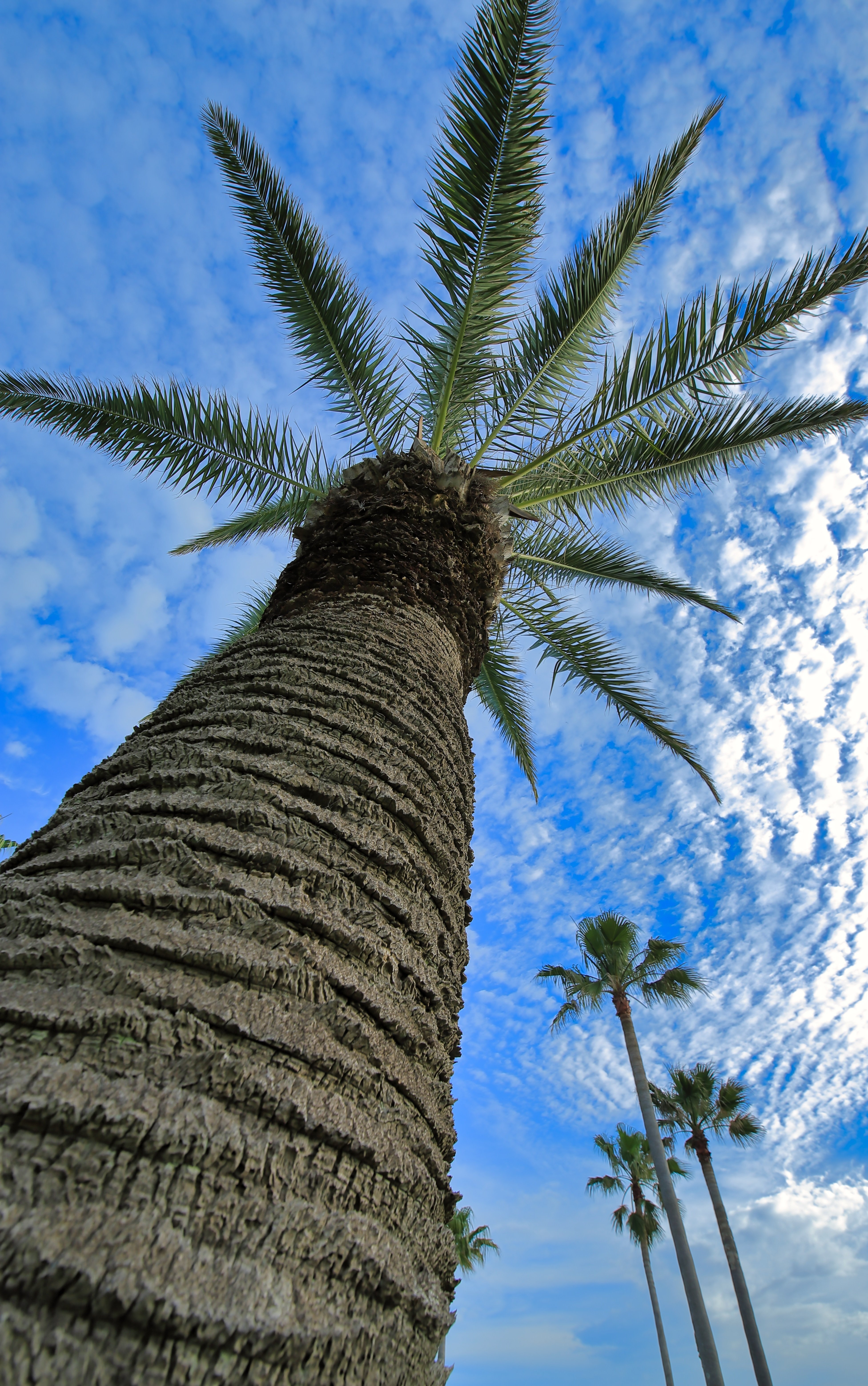 夢は必ず叶う それを追う勇気があれば Taka315 Note