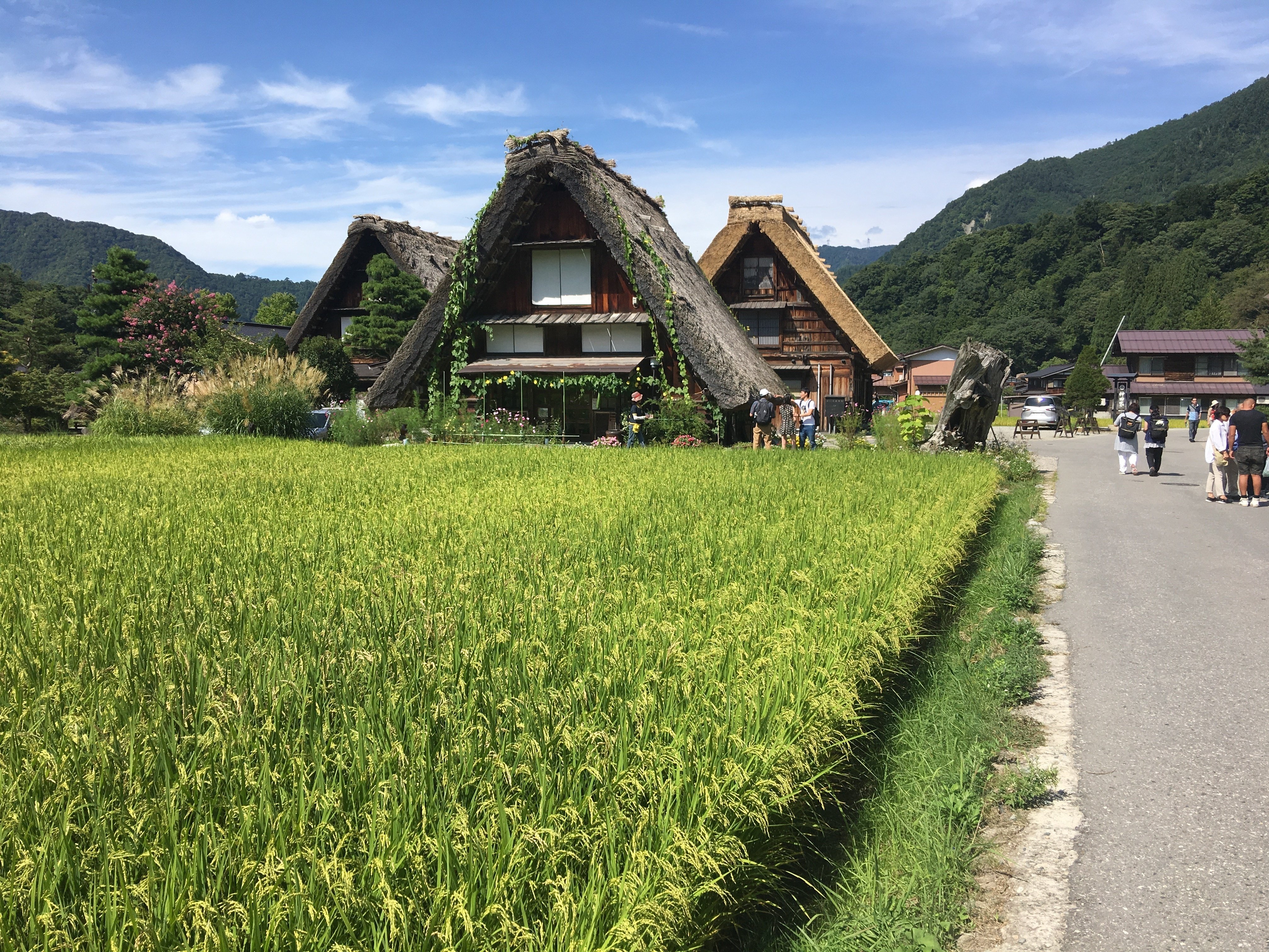 白川郷フェス FINAL2 限定CD2枚 あの夏の日の光 promise 晩夏の白川郷 ~ Photo ~ Shirakawa-go village in late summer