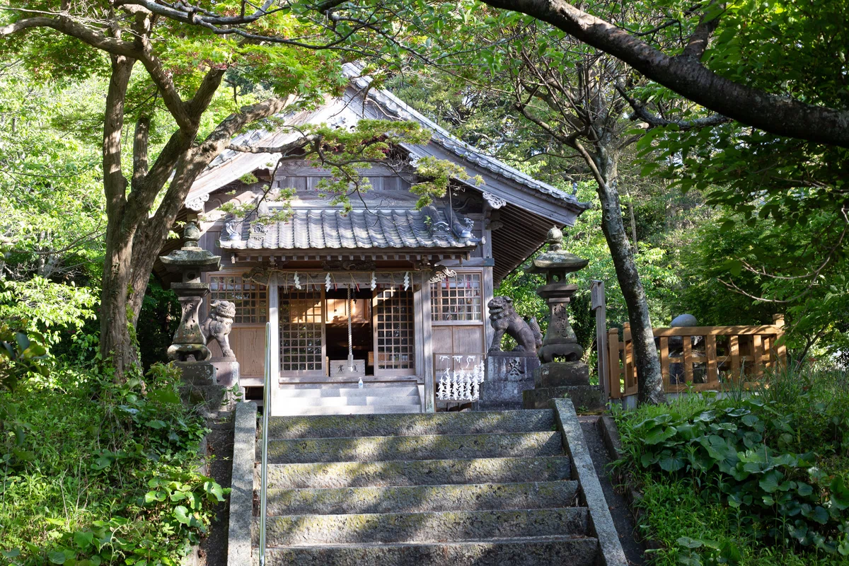 画像