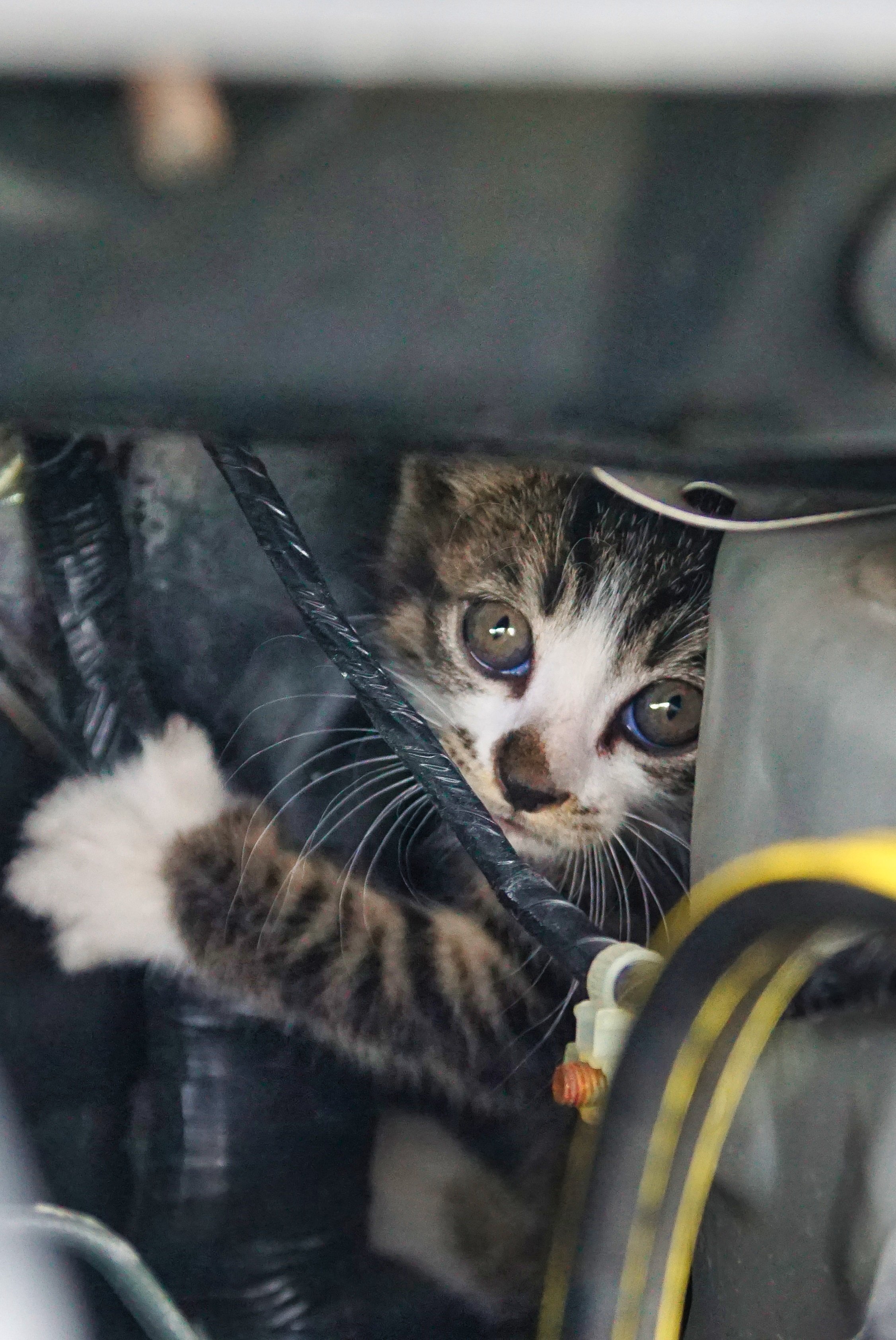 さあ来い 今の俺は手ごわいぞ Taka315 Note さあ来い 今の俺は手ごわいぞ Taka315 Note