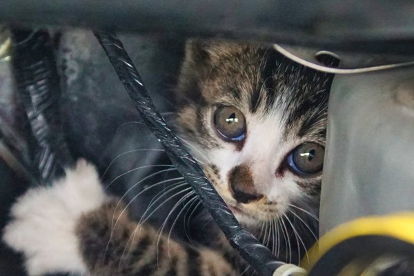 イレブンソウル の新着タグ記事一覧 Note つくる つながる とどける イレブンソウル の新着タグ記事一覧 Note つくる つながる とどける