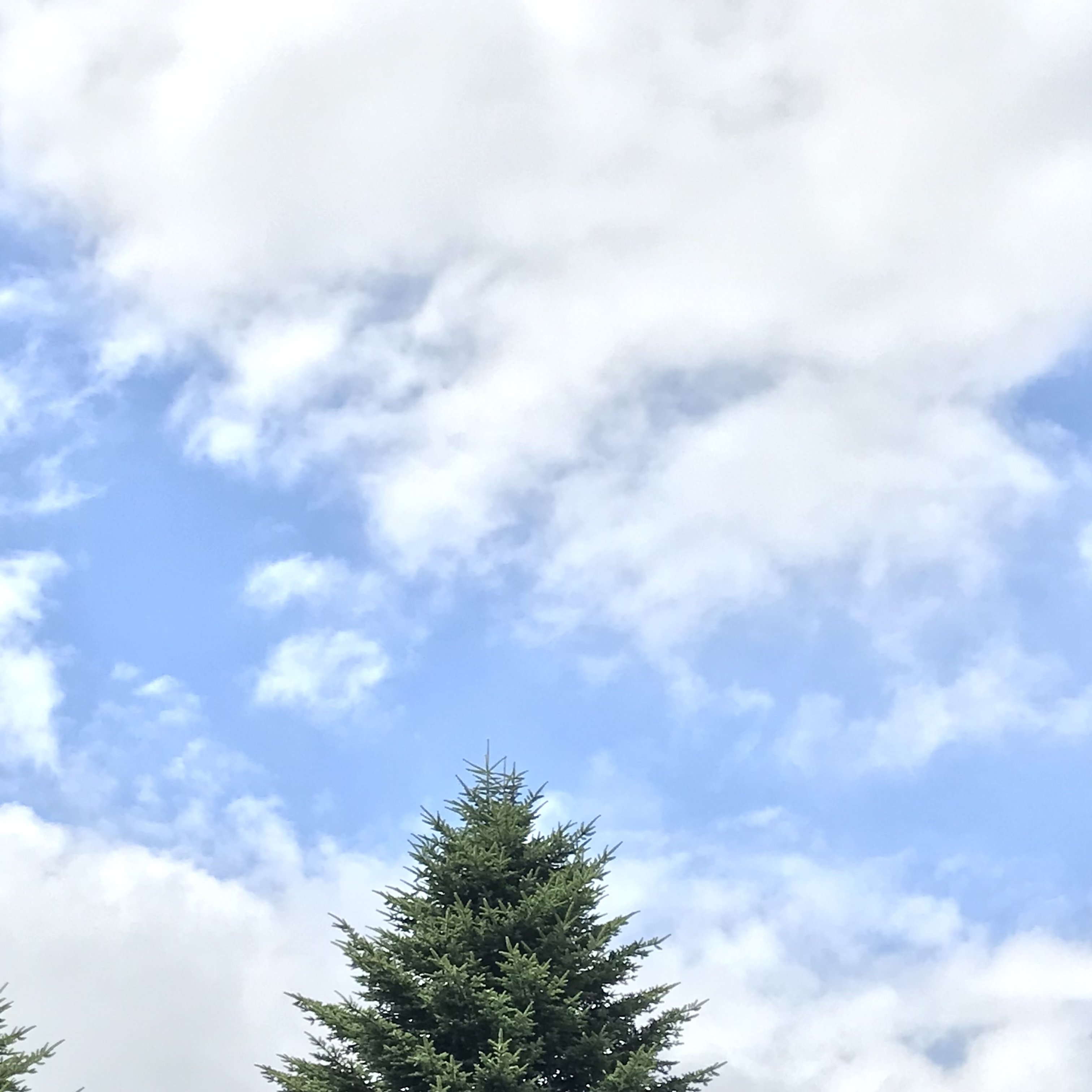 雲は湧き 光あふれて おだ ちえ Note 雲は湧き 光あふれて おだ ちえ Note