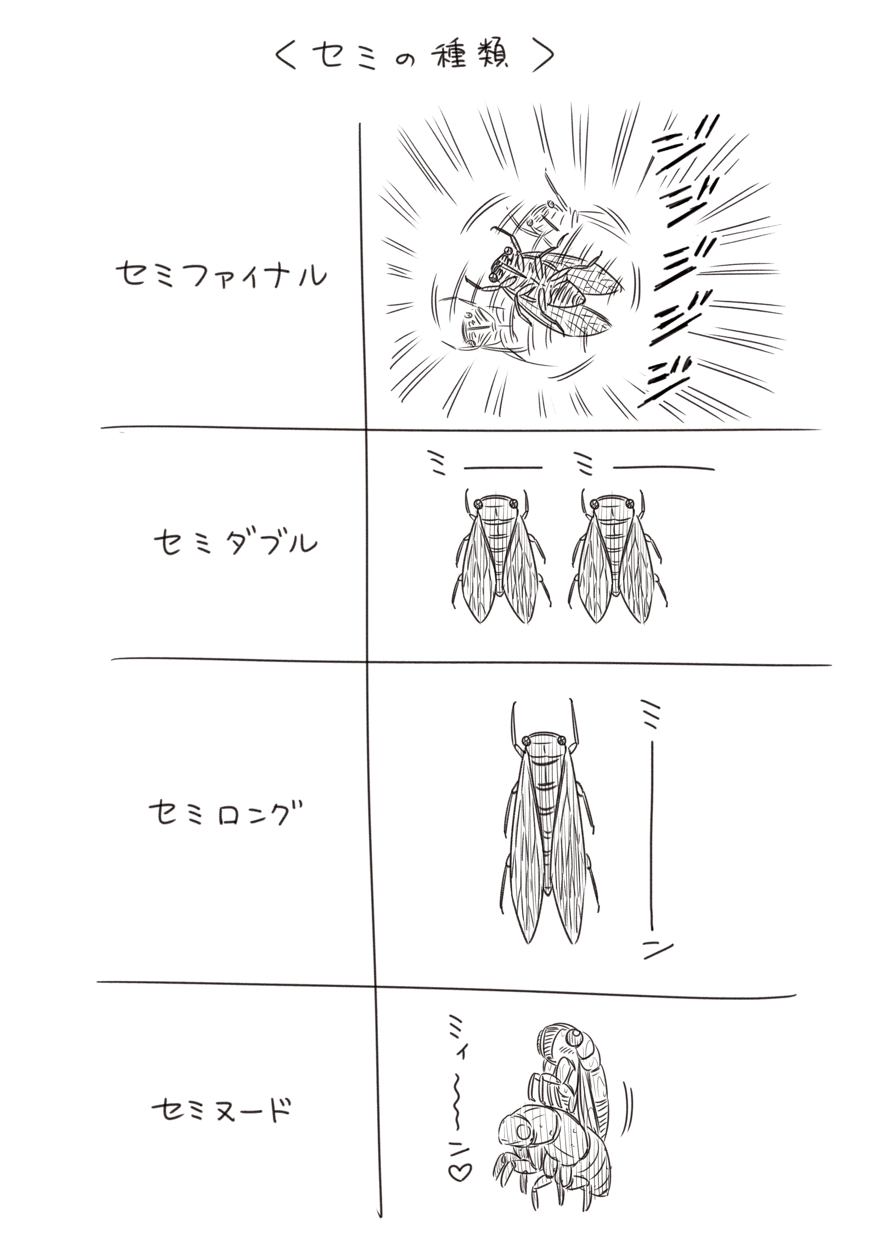 セミの種類 コハラモトシ Note