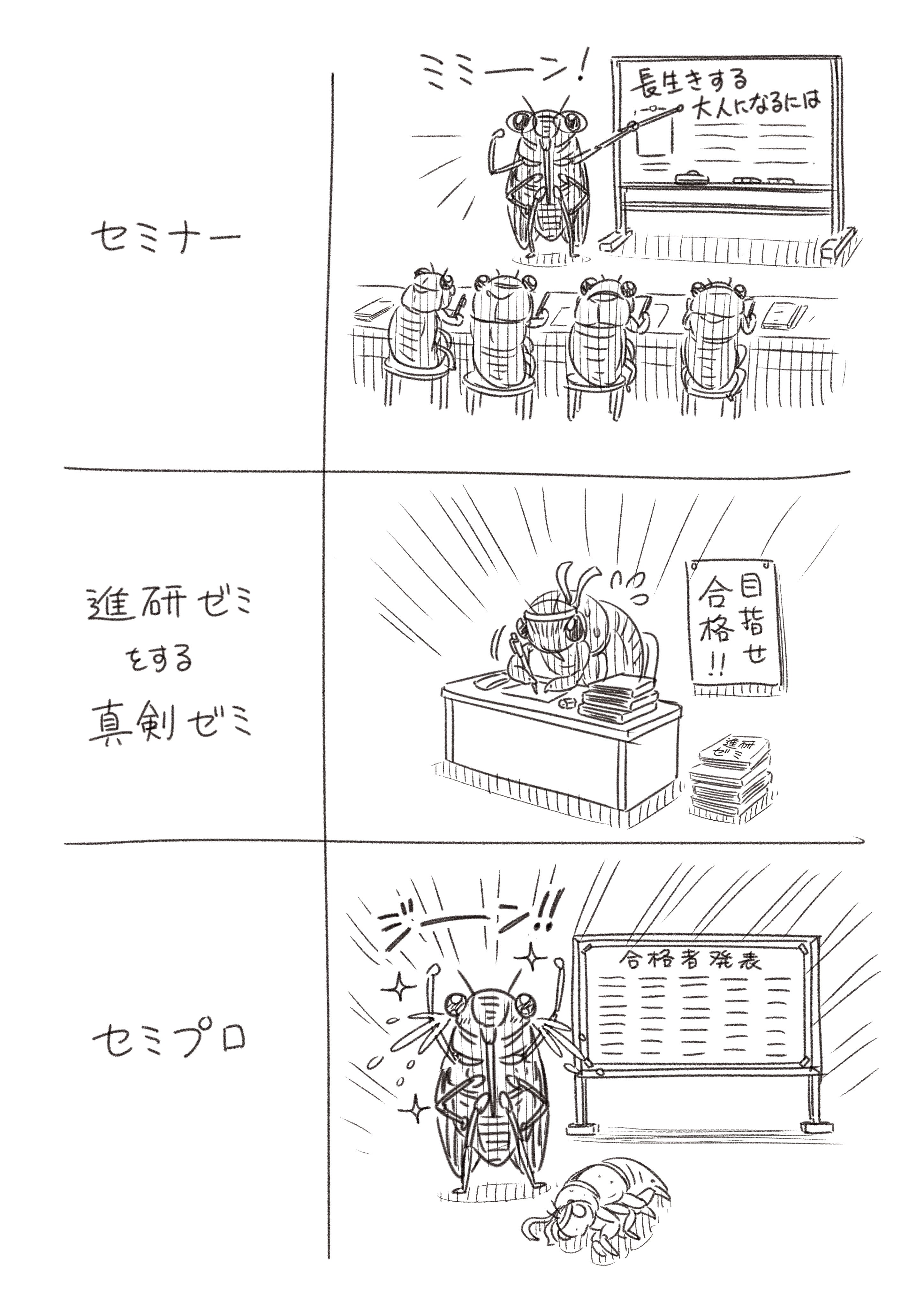 セミの種類 コハラモトシ Note