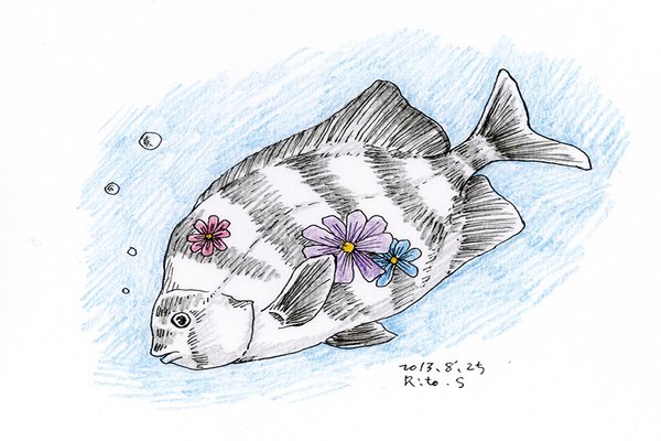 魚イラスト の新着タグ記事一覧 Note つくる つながる とどける