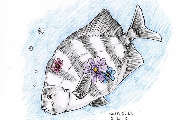 魚イラスト の新着タグ記事一覧 Note つくる つながる とどける 魚イラスト の新着タグ記事一覧 Note つくる つながる とどける