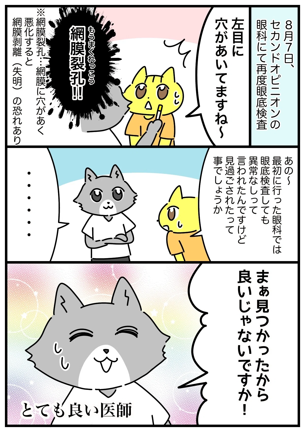 光視症かなと思ったら網膜裂孔だった話。|あおいねこ|note