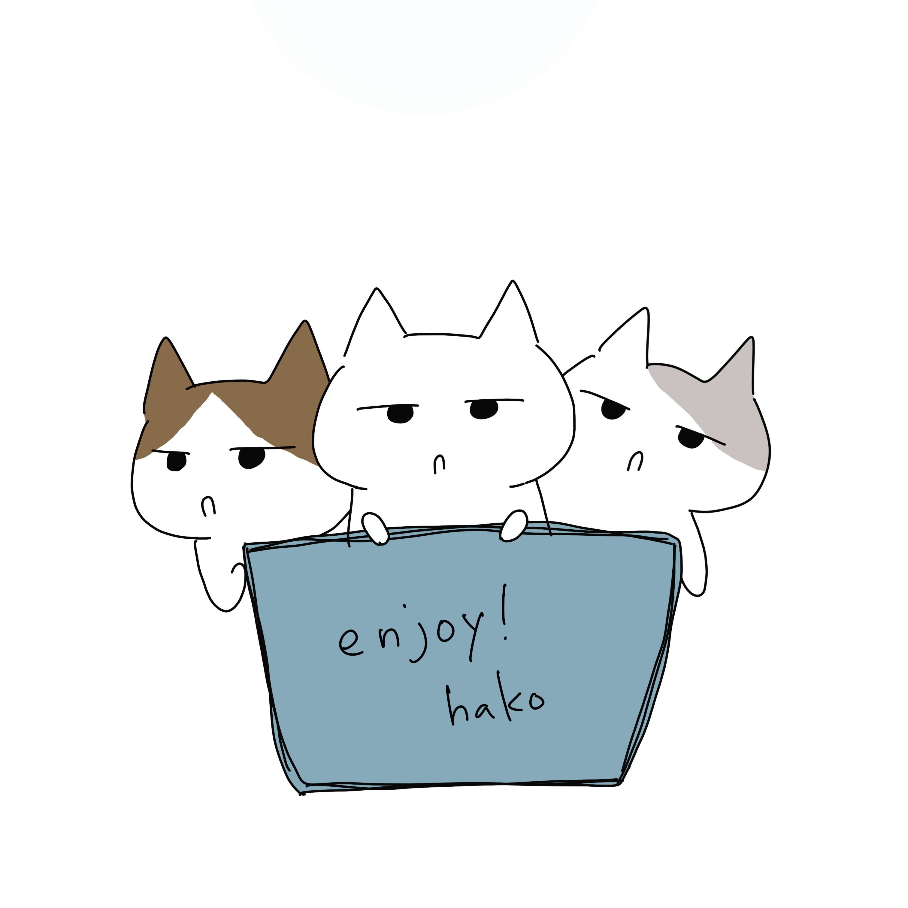今日のイラスト 箱に入ってみた Kitako Note