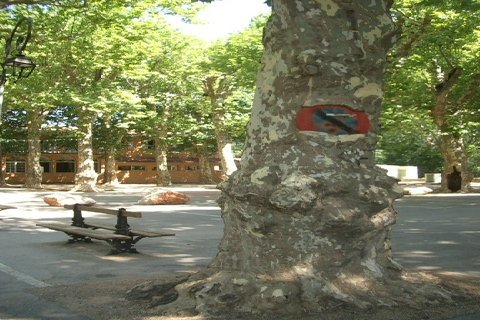 プラタナス の新着タグ記事一覧 Note つくる つながる とどける